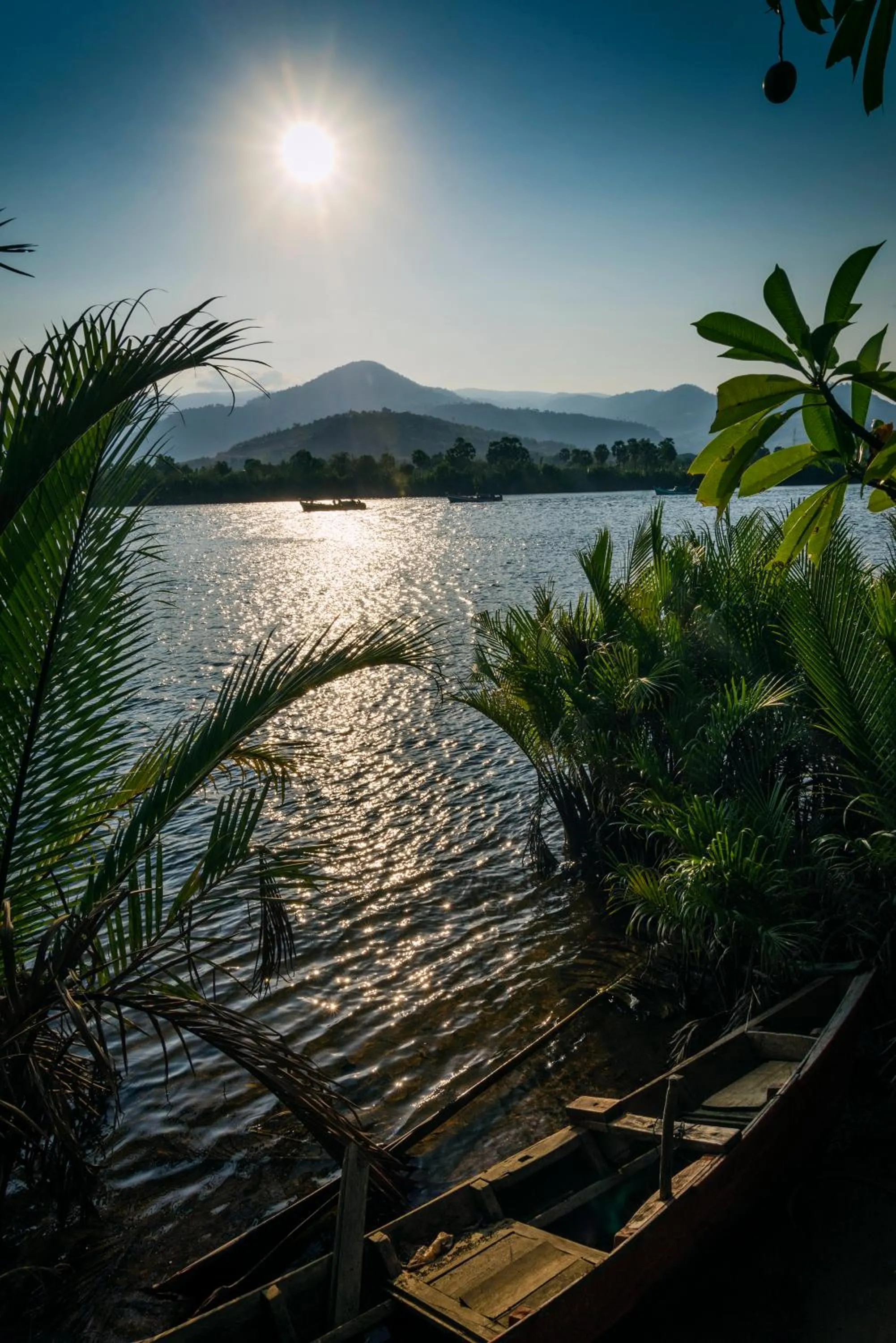 Garden in Villa Vedici