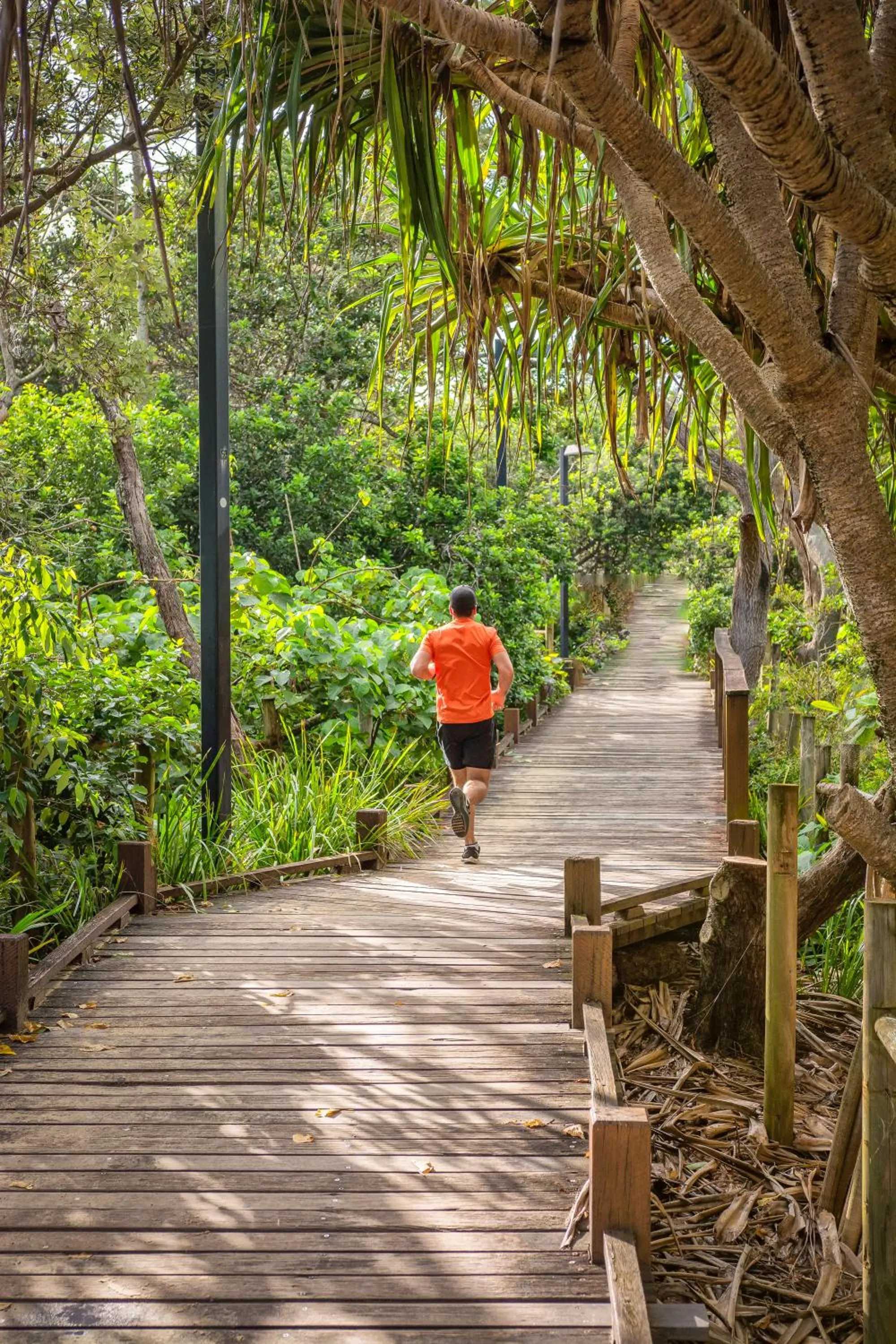 Other in Mirra Chana Beachfront Apartments Mooloolaba