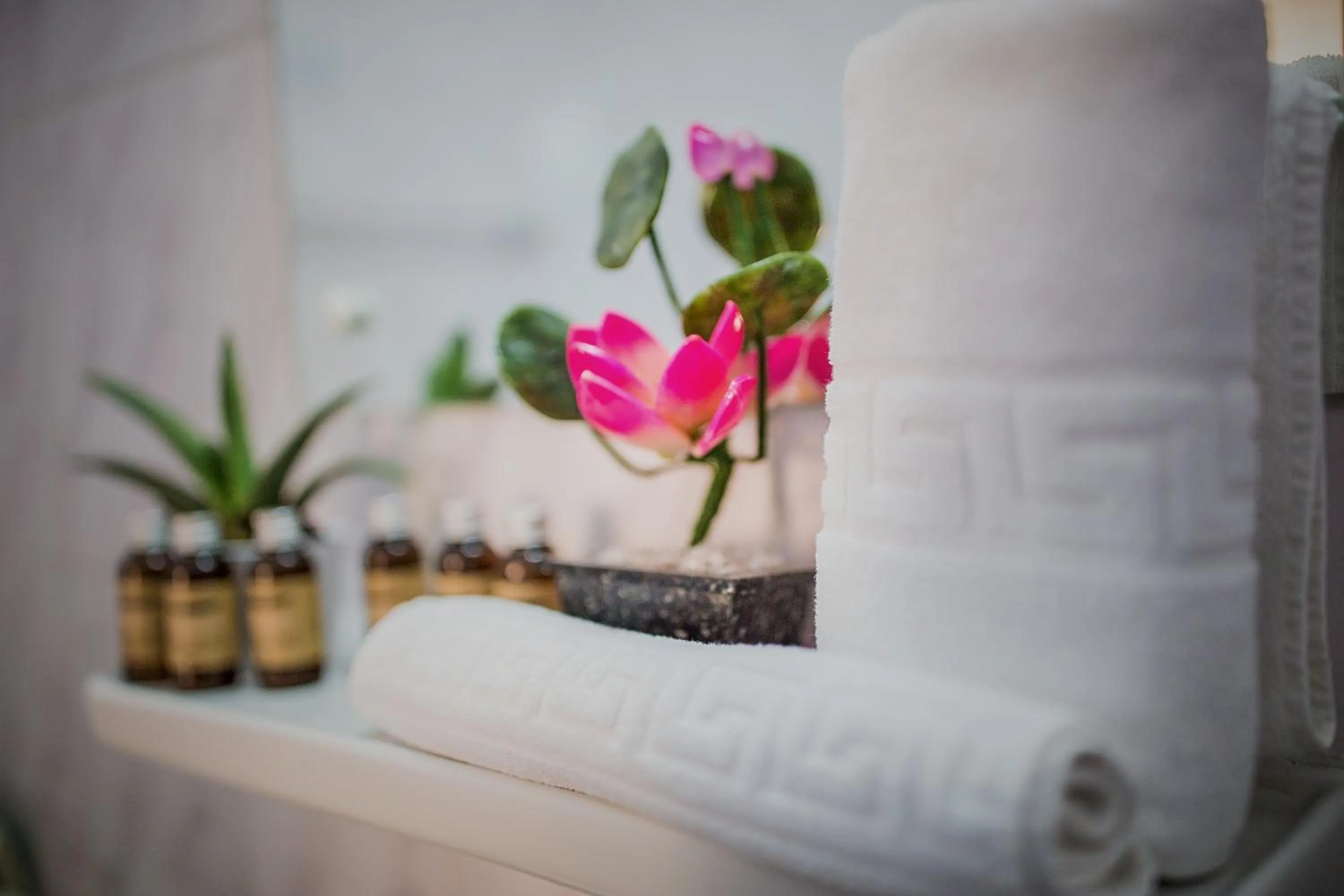 Decorative detail in Hotel Rina Cerbul