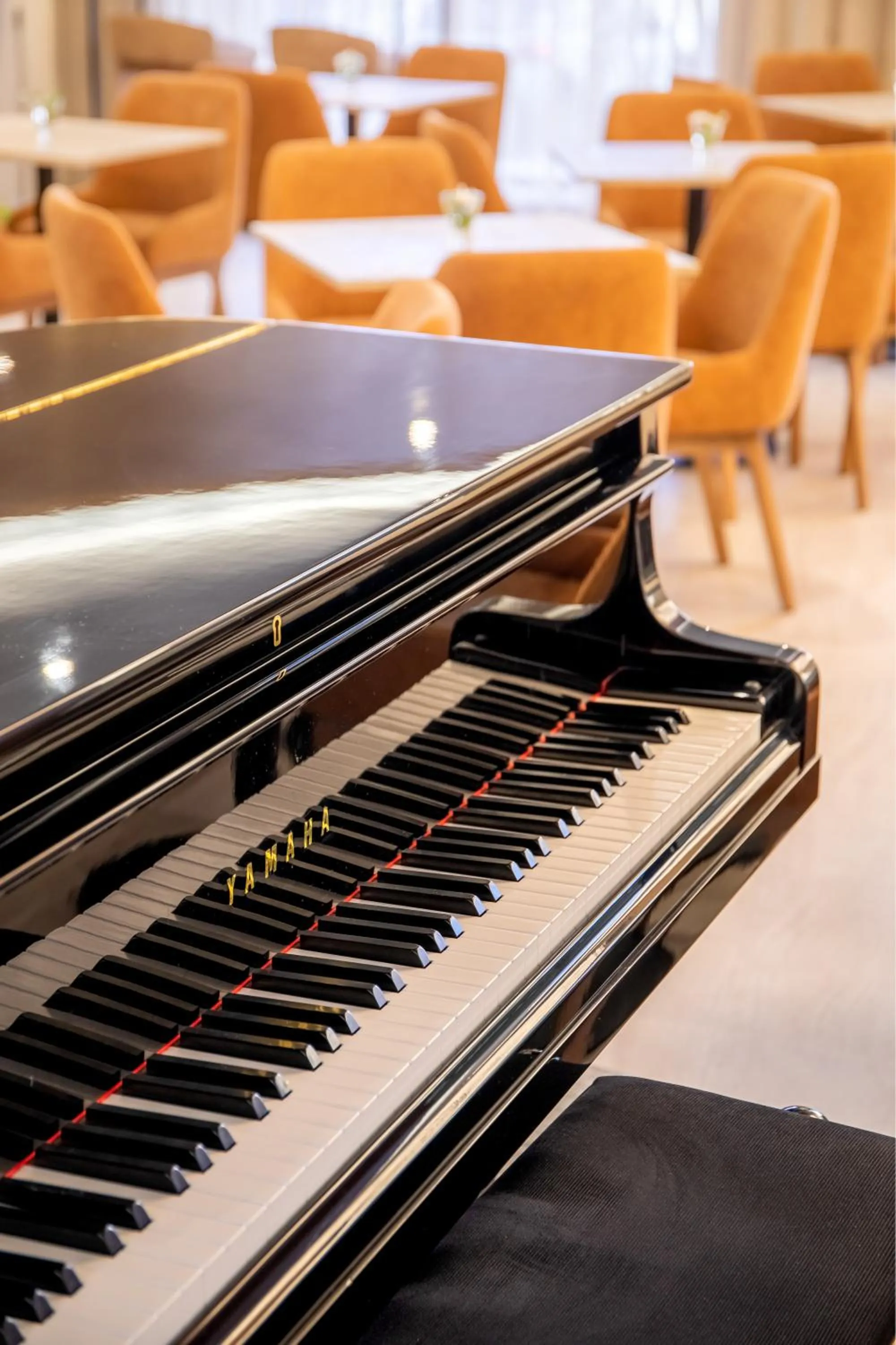 Lounge or bar in AP Sines - Costa Alentejana