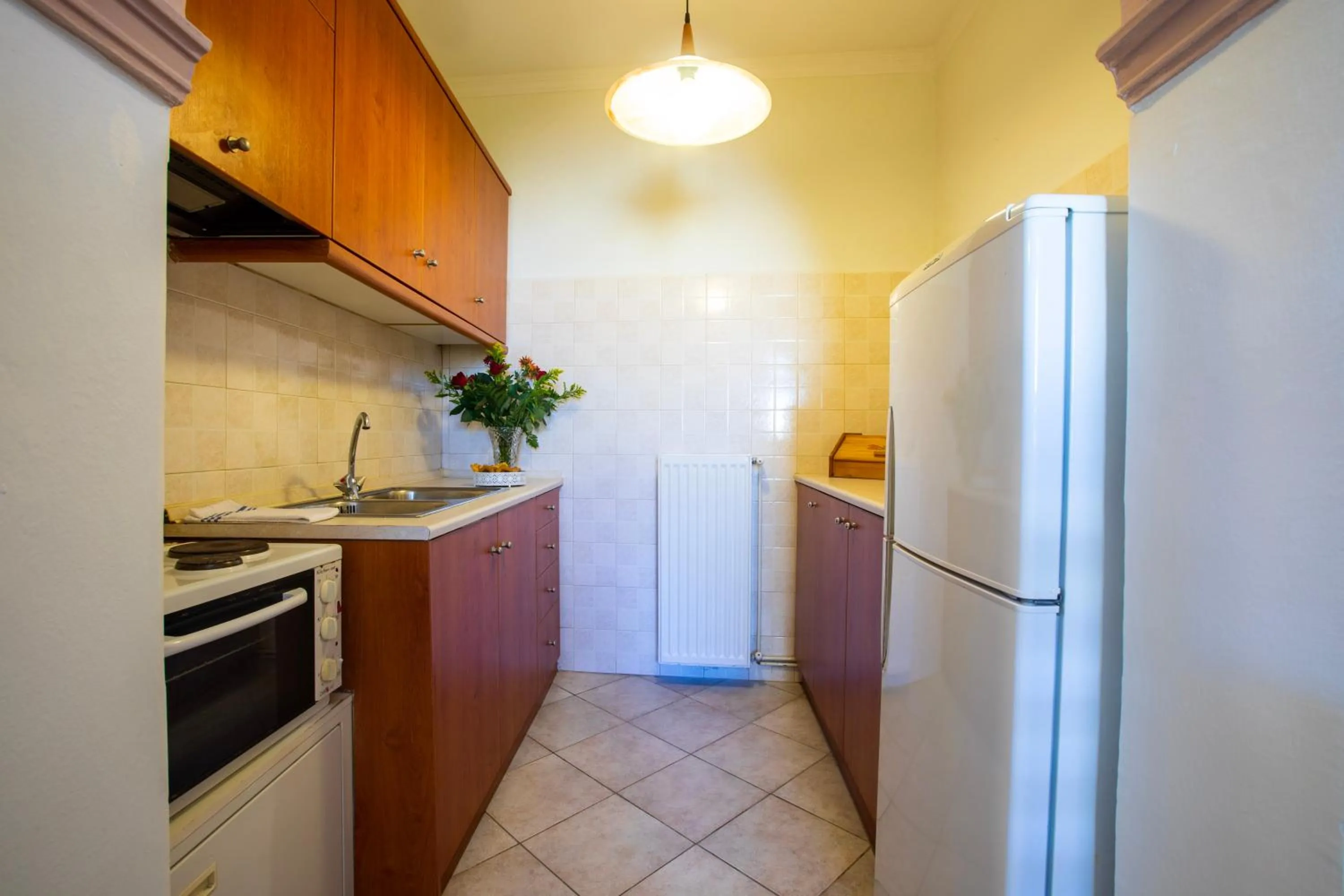 Kitchen or kitchenette in Kastro Apartments