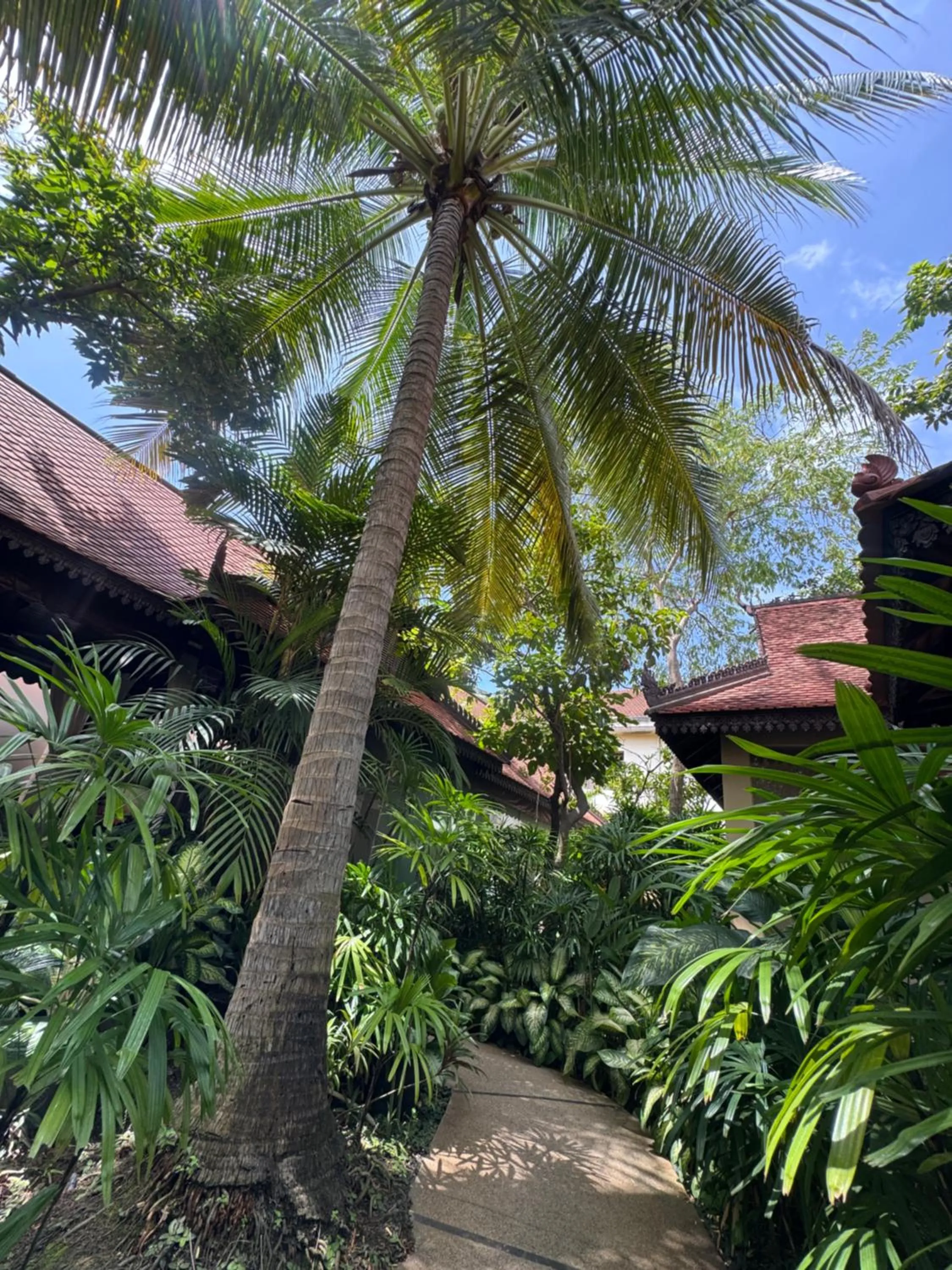 Garden in Somadevi Angkor Premium