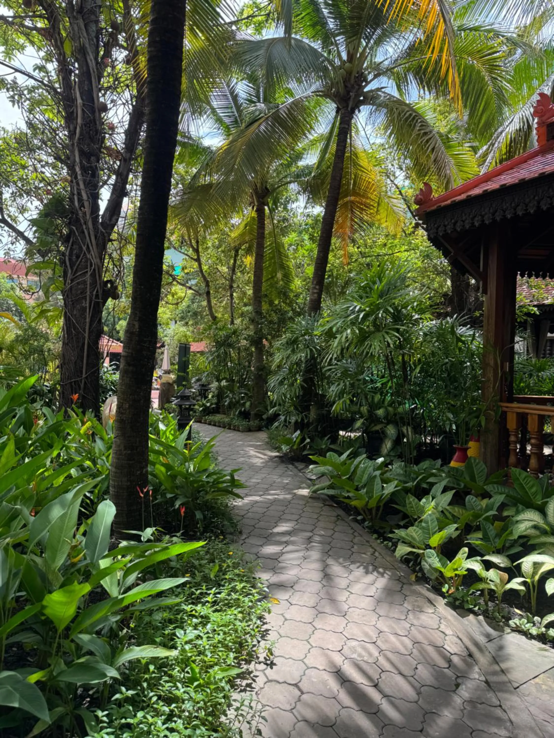 Garden in Somadevi Angkor Premium