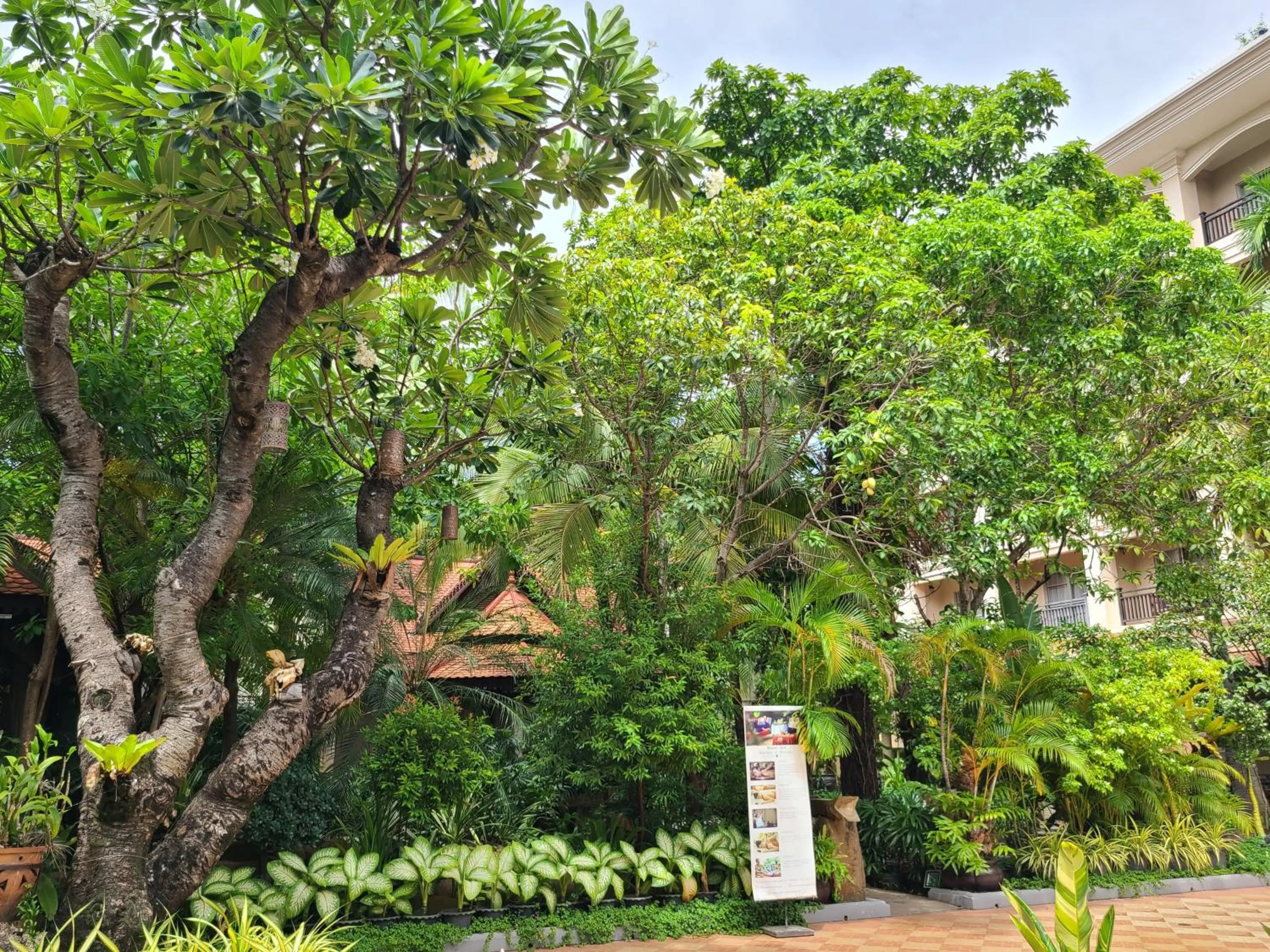 Garden in Somadevi Angkor Premium