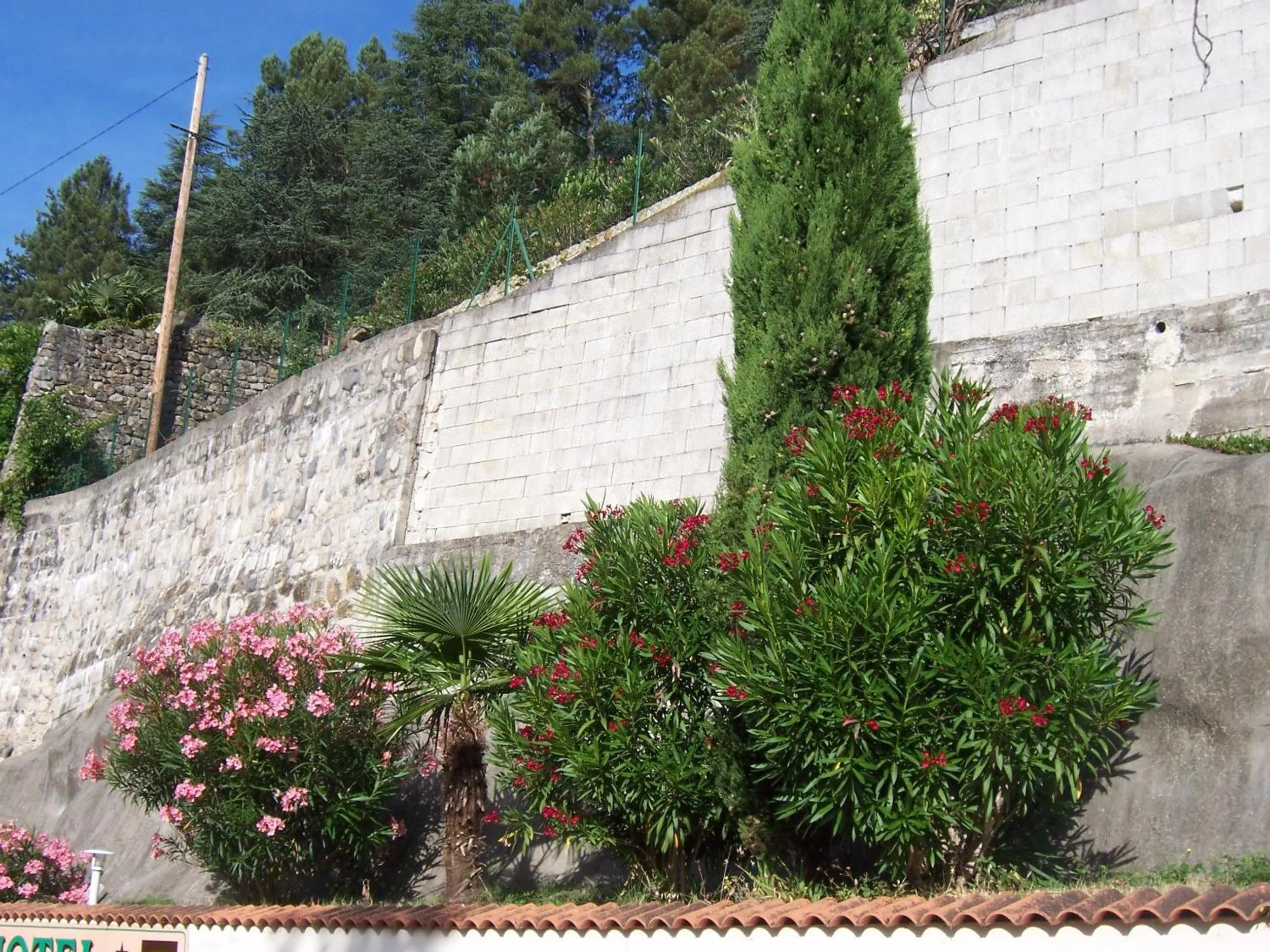 Facade/entrance in Hotel Saint Jacques