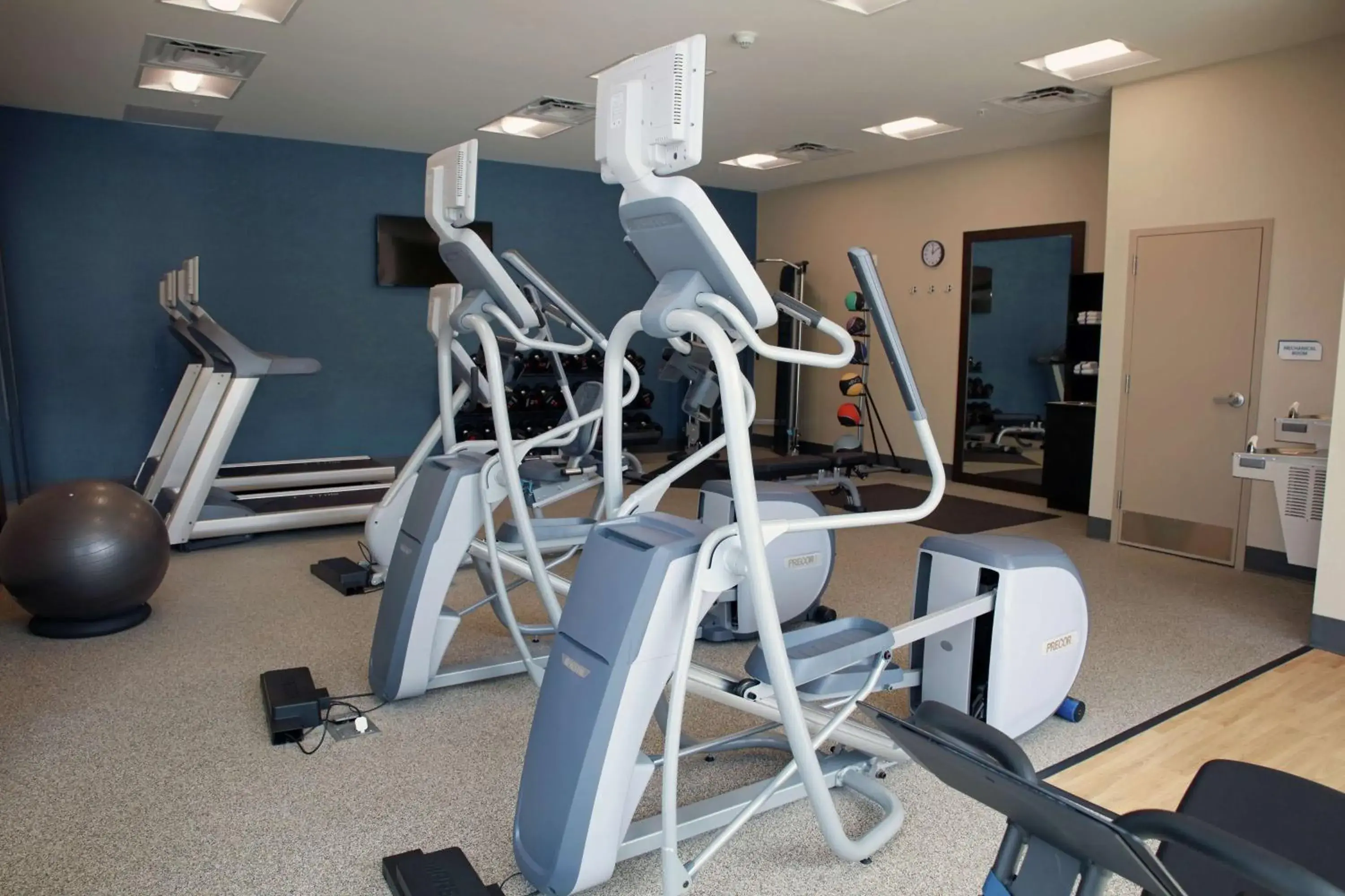 Fitness centre/facilities in Hilton Garden Inn Tampa - Wesley Chapel Fitness centre/facilities in Hilton Garden Inn Tampa - Wesley Chapel