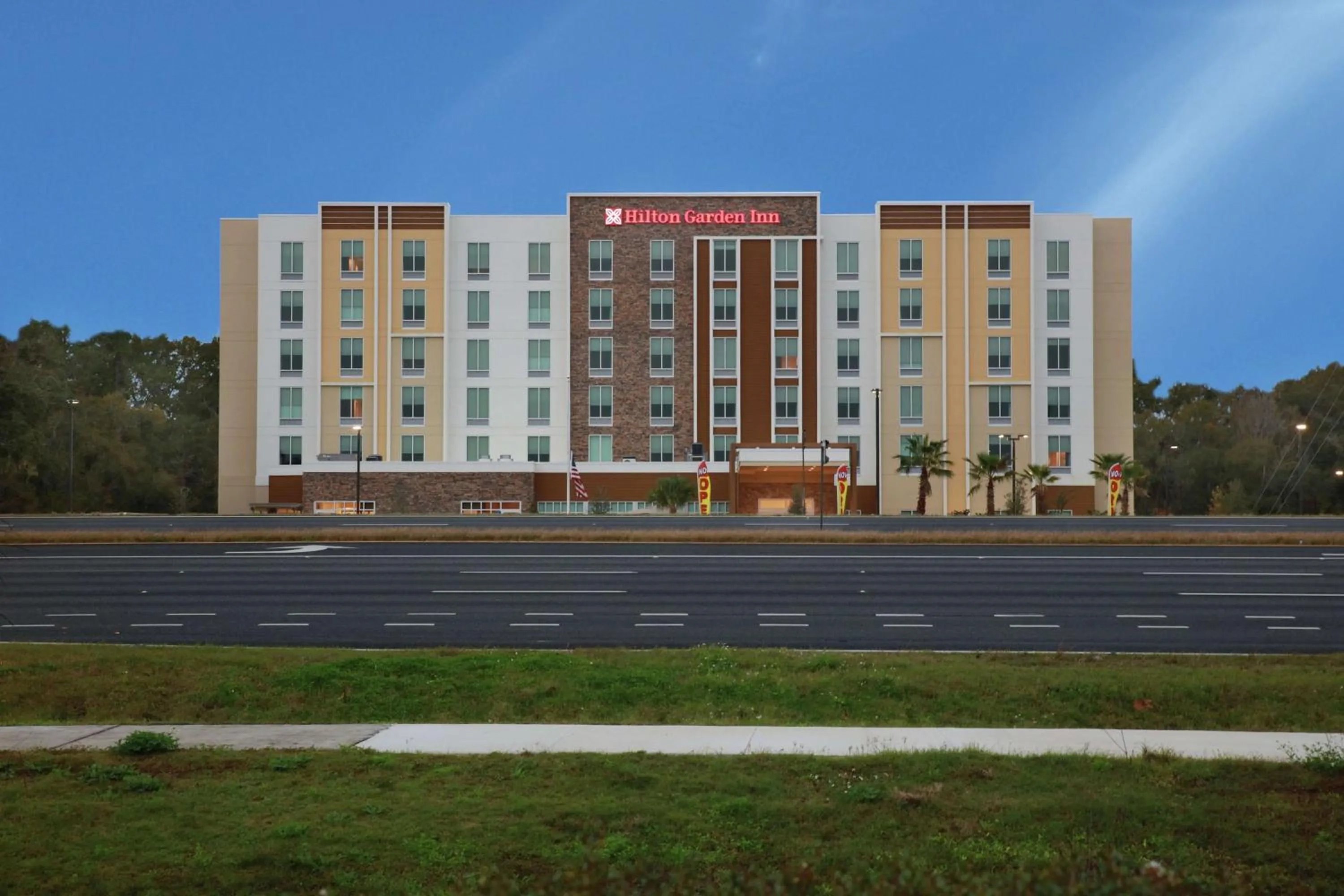 Property building in Hilton Garden Inn Tampa - Wesley Chapel