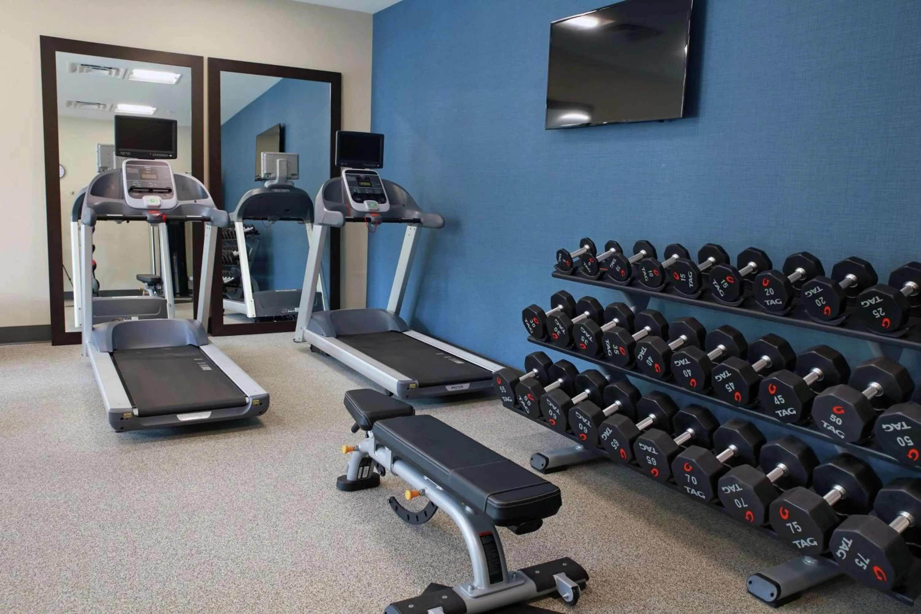 Fitness centre/facilities in Hilton Garden Inn Tampa - Wesley Chapel
