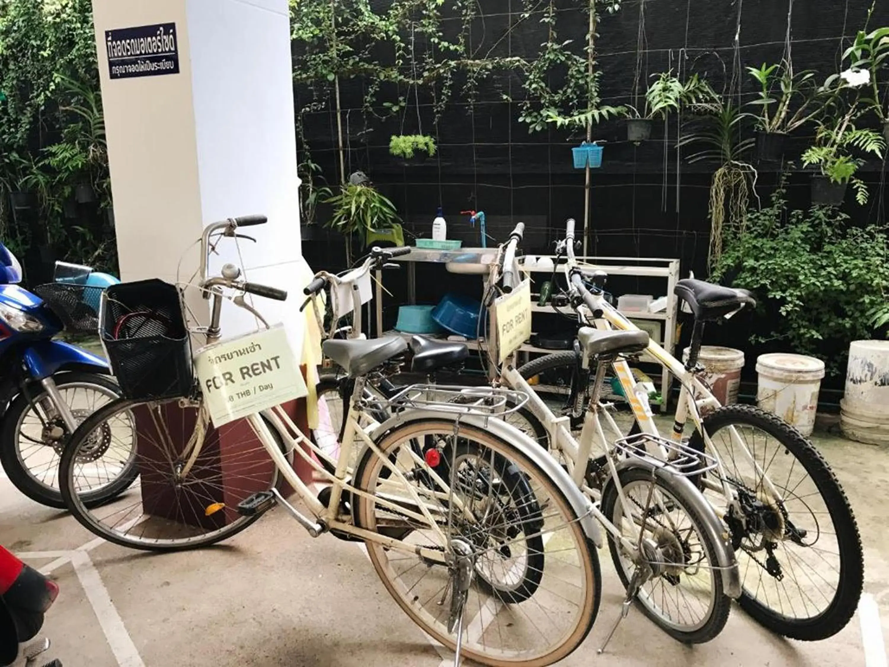 Cycling in Baan Nuk Anong Cycling in Baan Nuk Anong