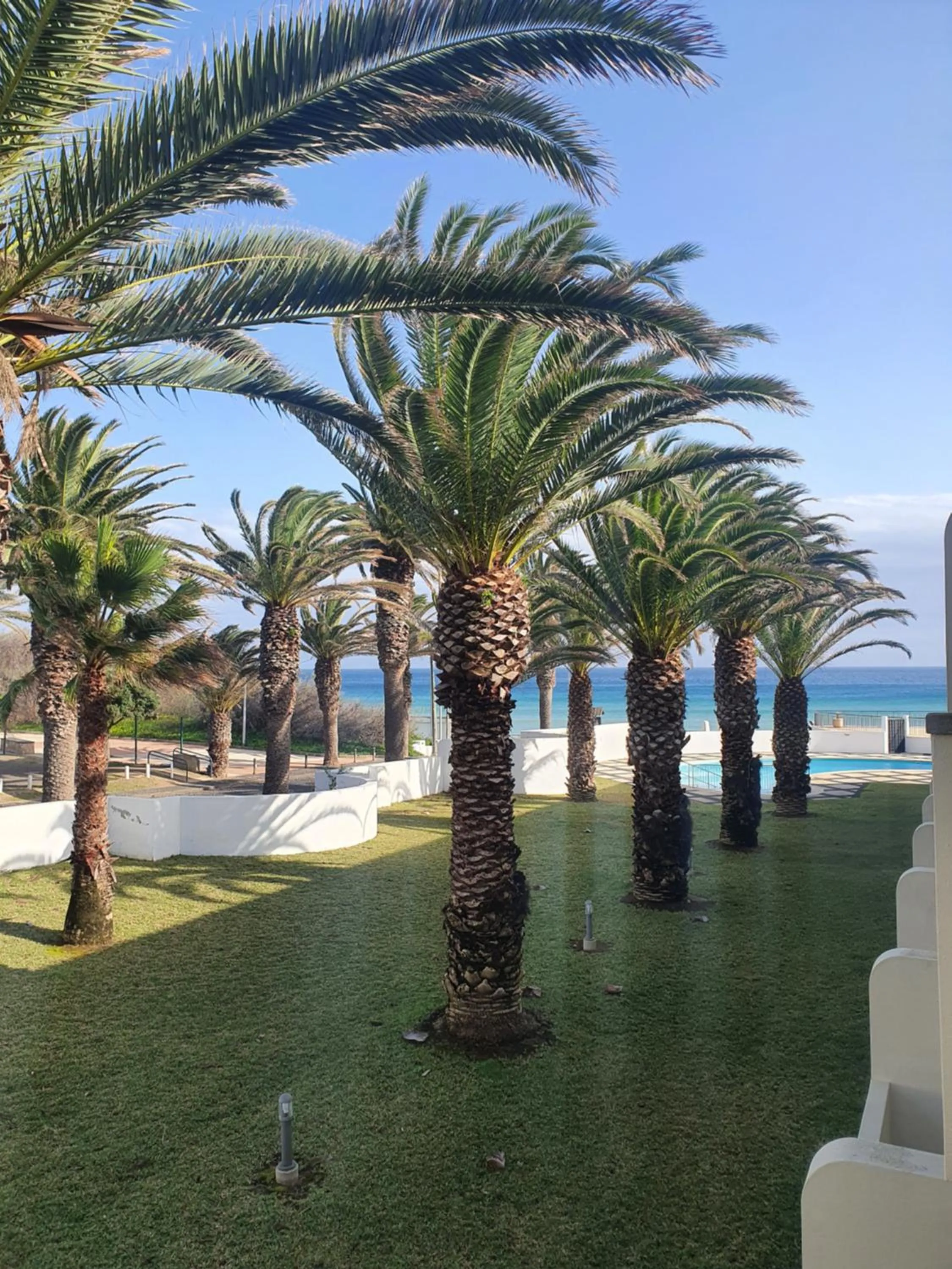 Sea view in Hotel Torre Praia