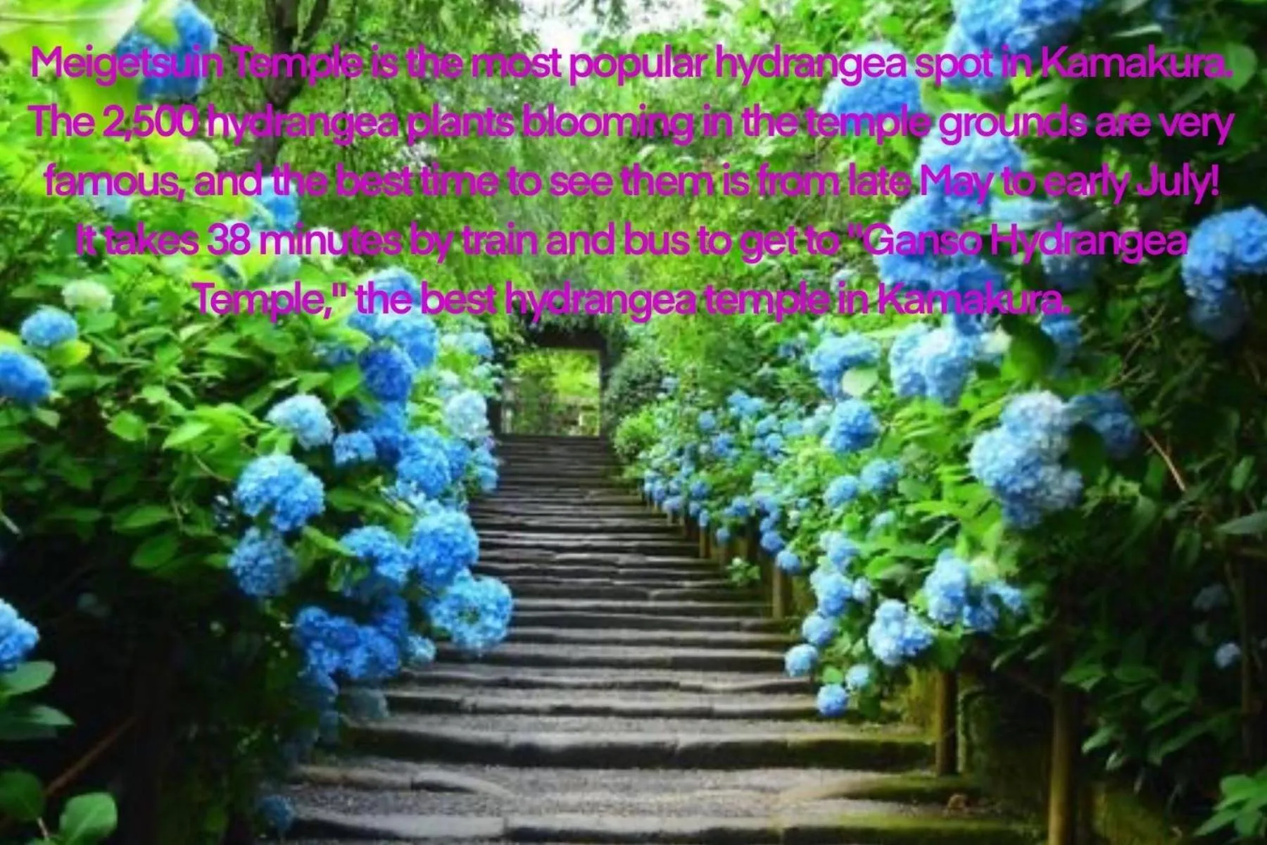 The Bath & Bed Hayama