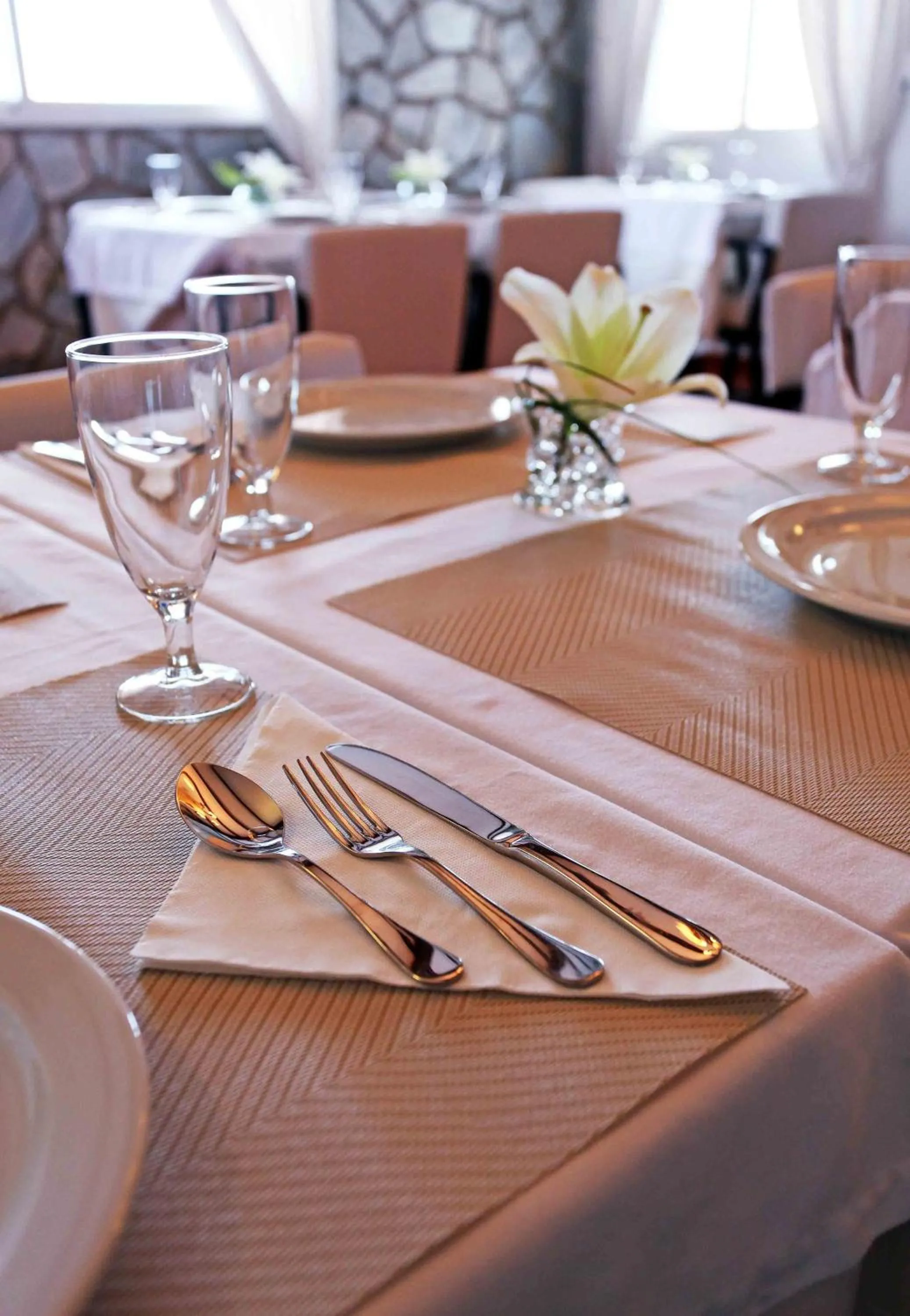 Restaurant/places to eat in Hotel Casa Rosa