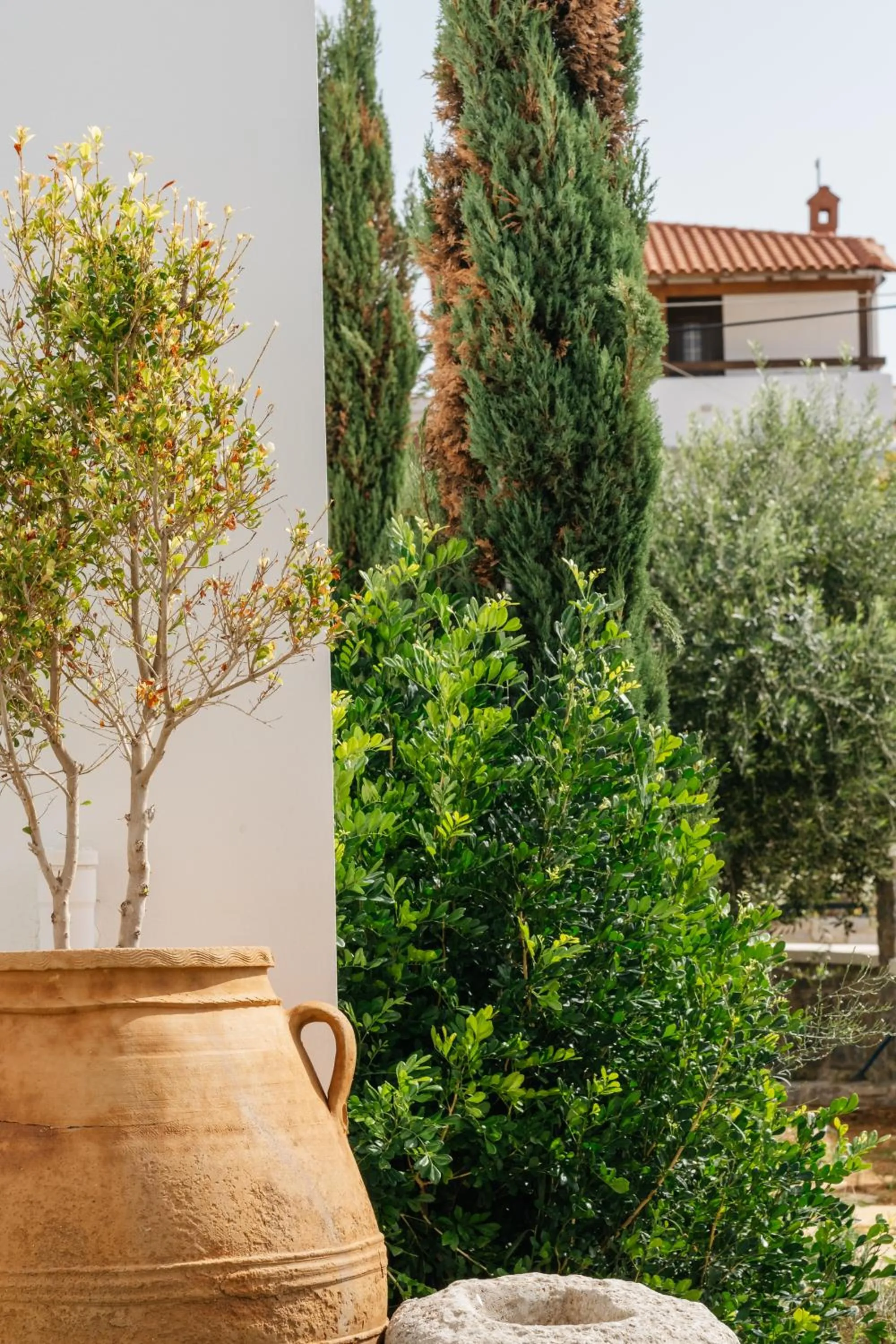 Property building in Cyano Hotel