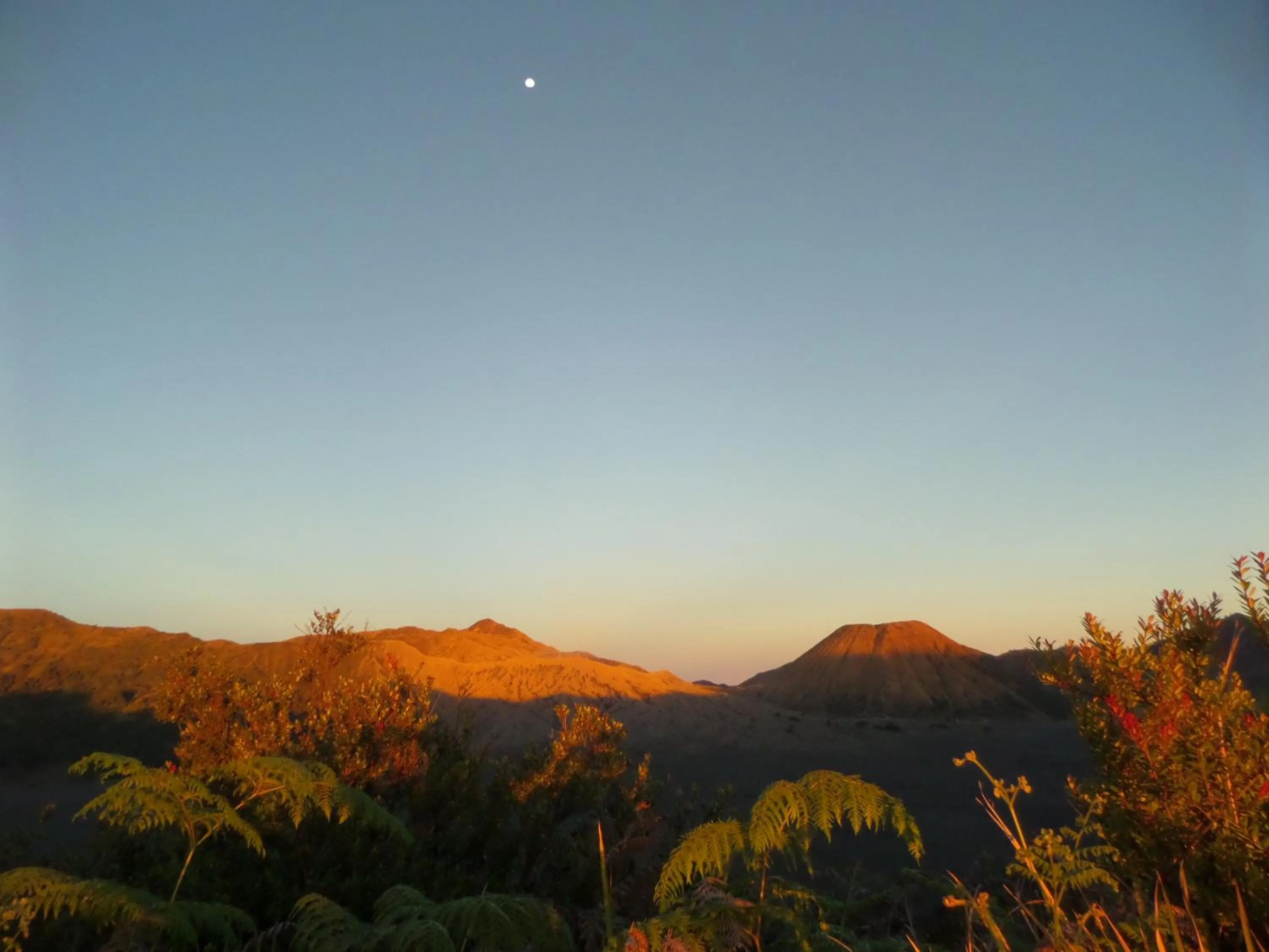Tengger Indah Homestay