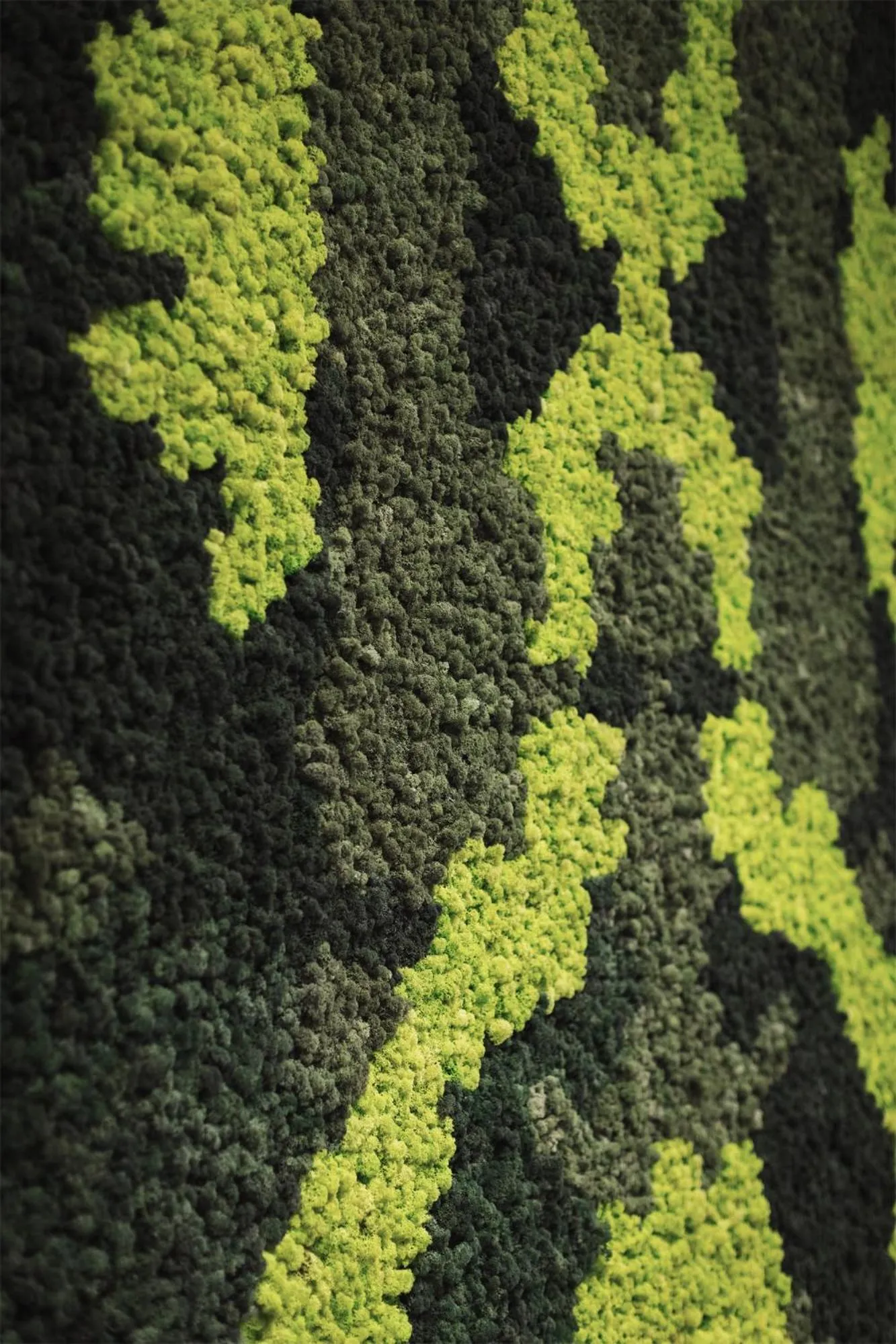 Spa and wellness centre/facilities in Roxen Hotel&Spa