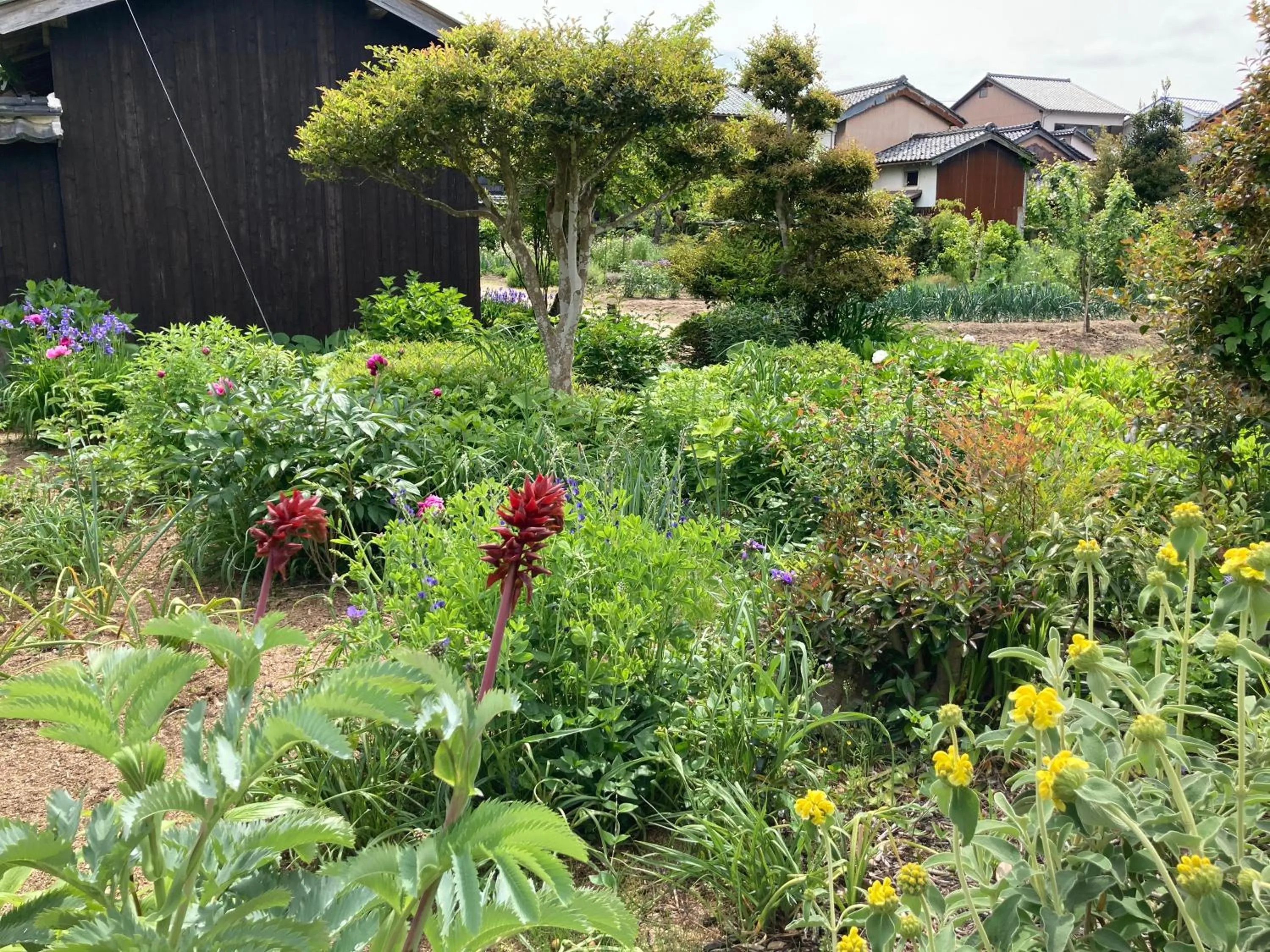 Garden in Waterside Cottage Heron