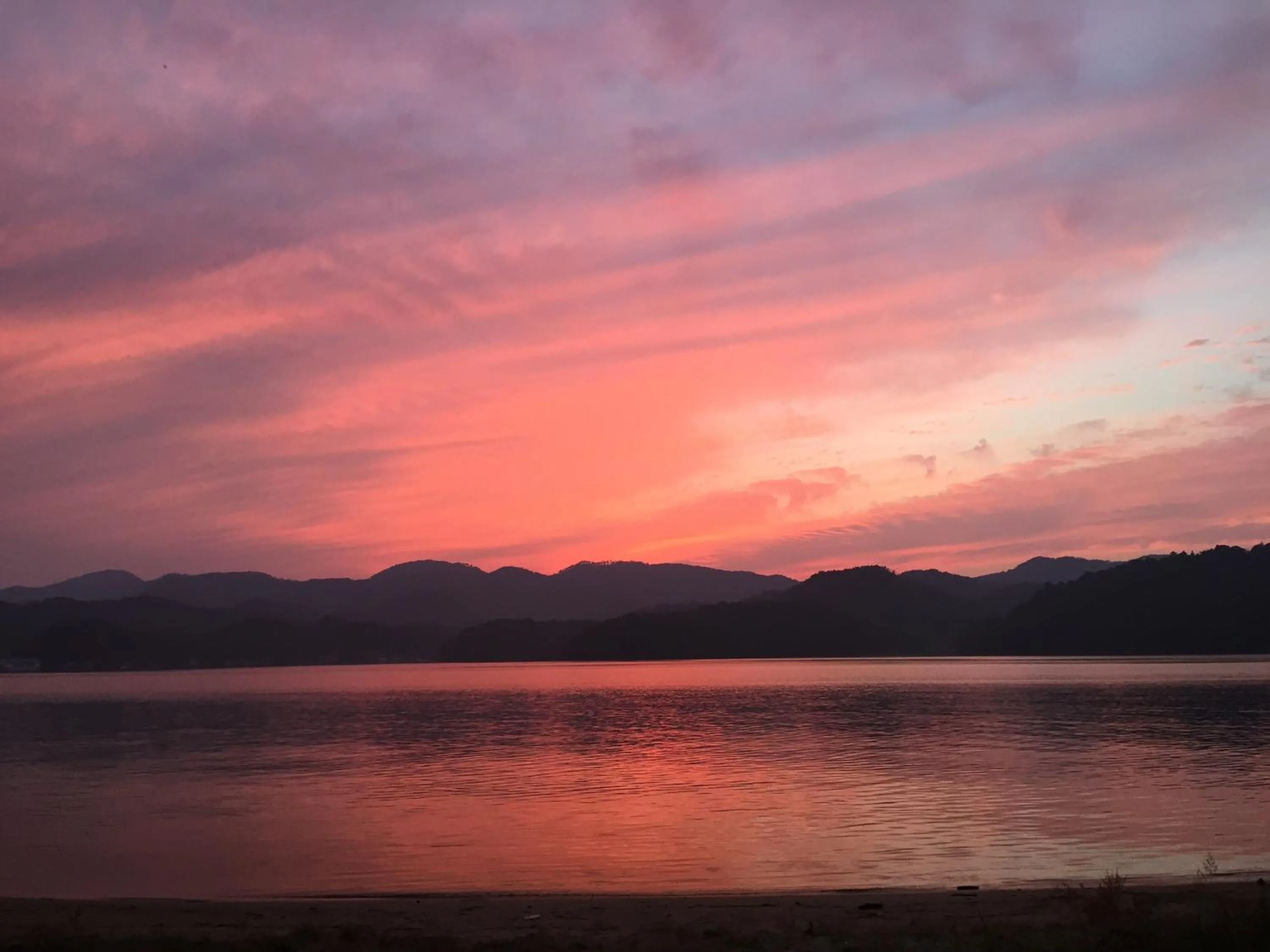 Other in Waterside Cottage Heron