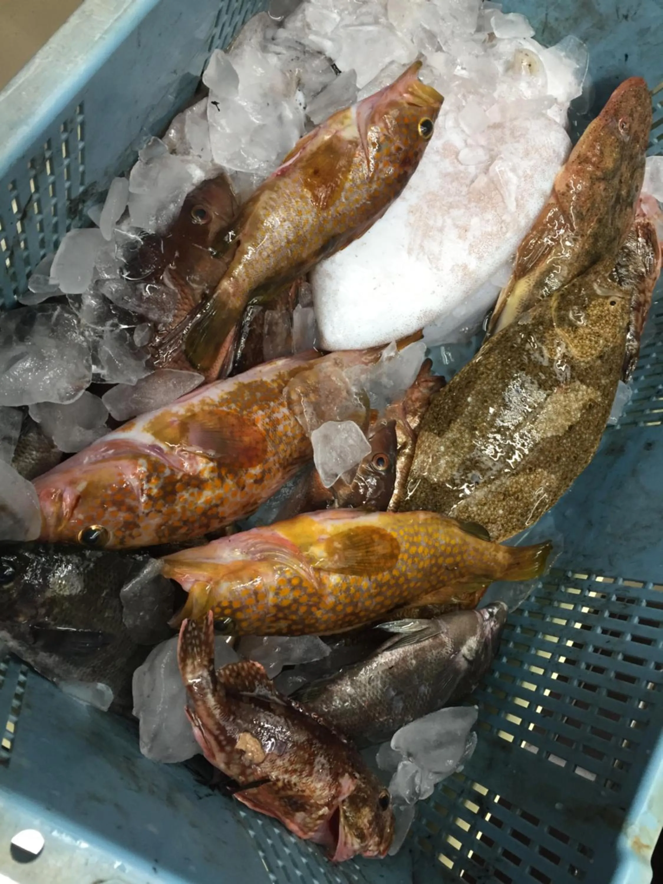 Food and drinks in Waterside Cottage Heron