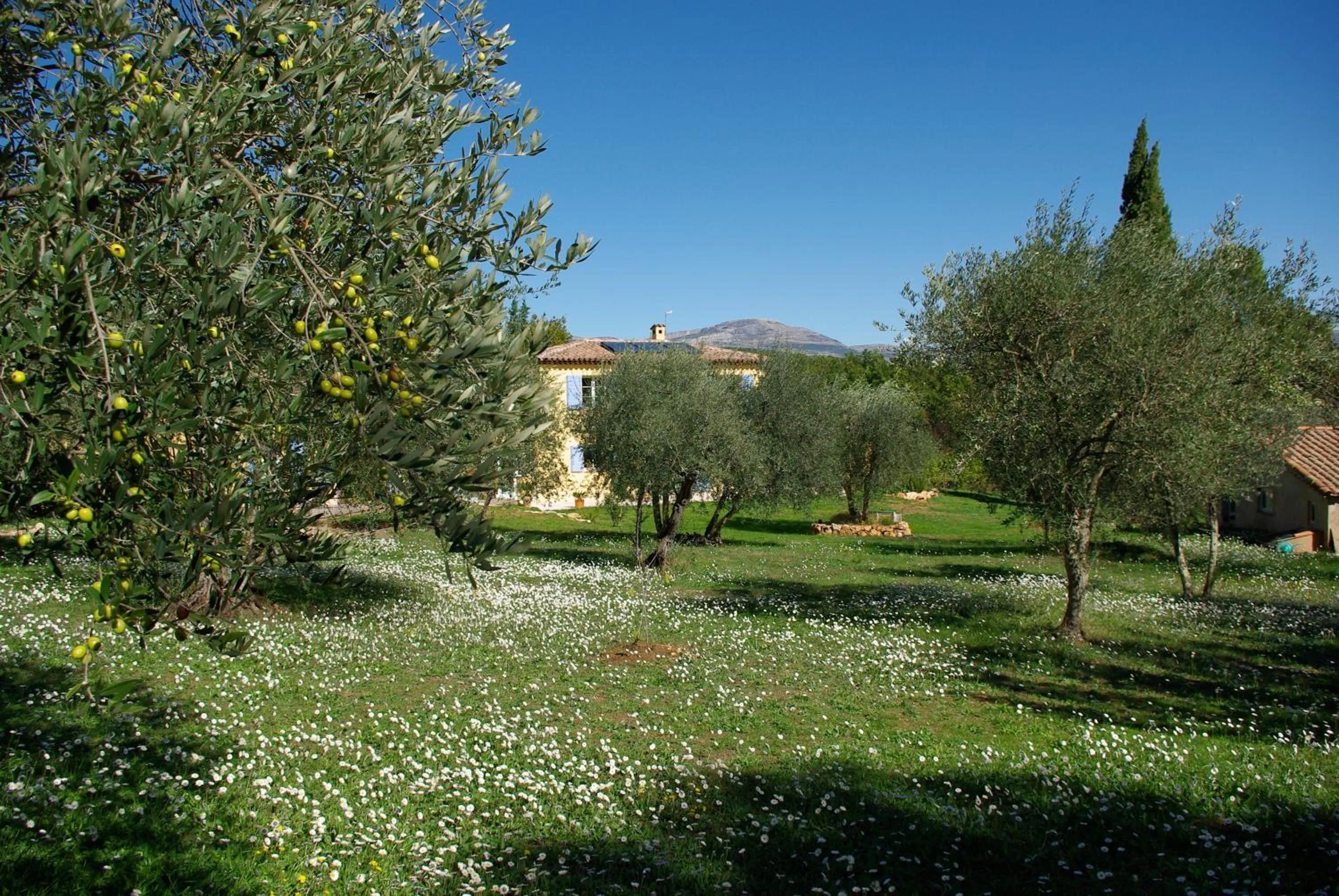 Garden in Chambres d'Hôtes Carpe Diem