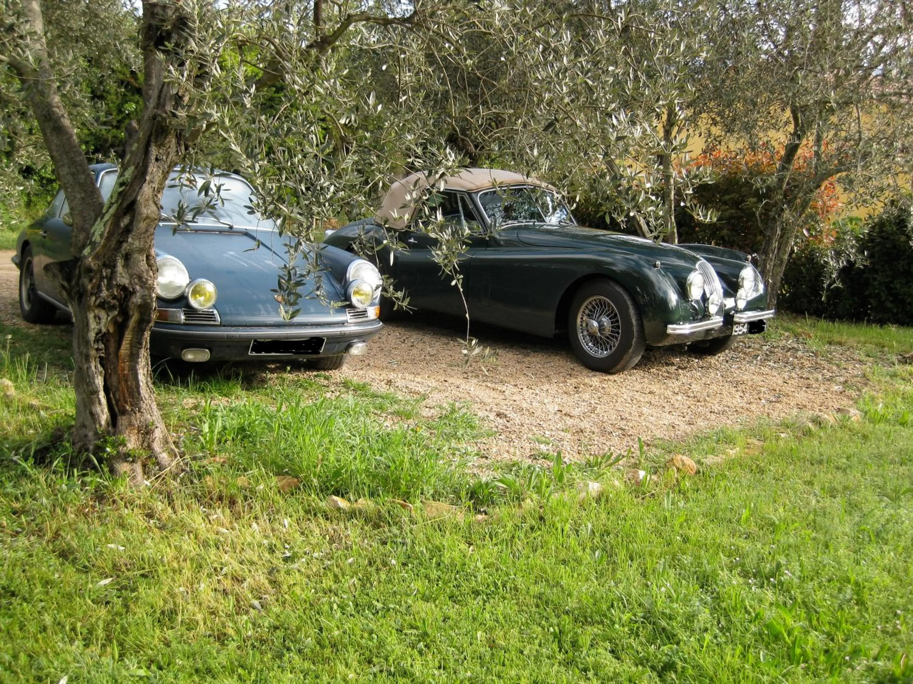 Area and facilities in Chambres d'Hôtes Carpe Diem