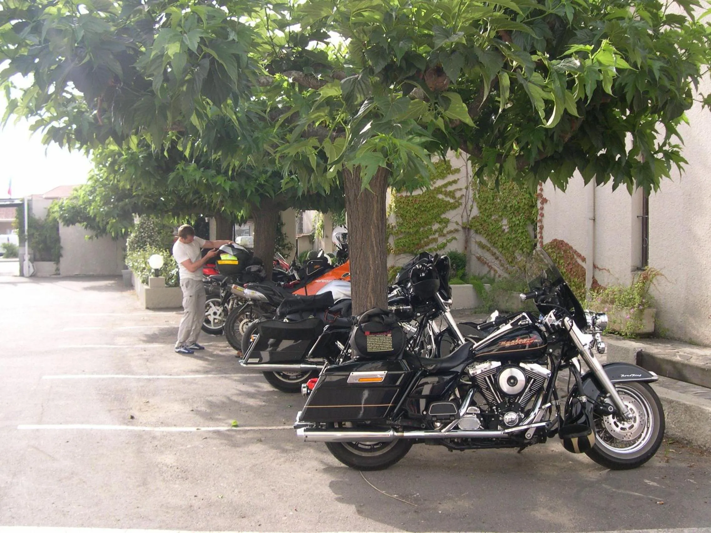 Area and facilities in Hotel Costa Verde