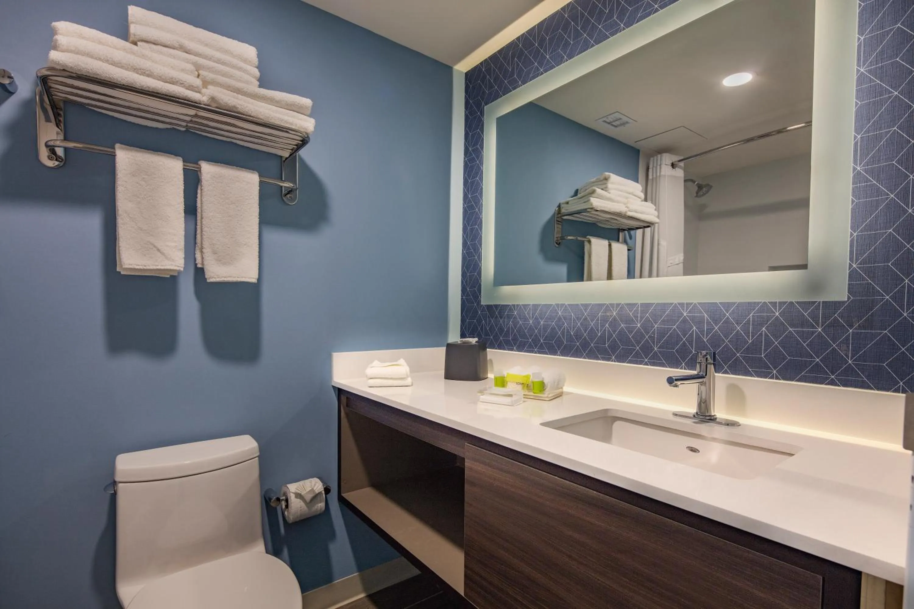 Bathroom in Holiday Inn & Suites - Aguascalientes by IHG