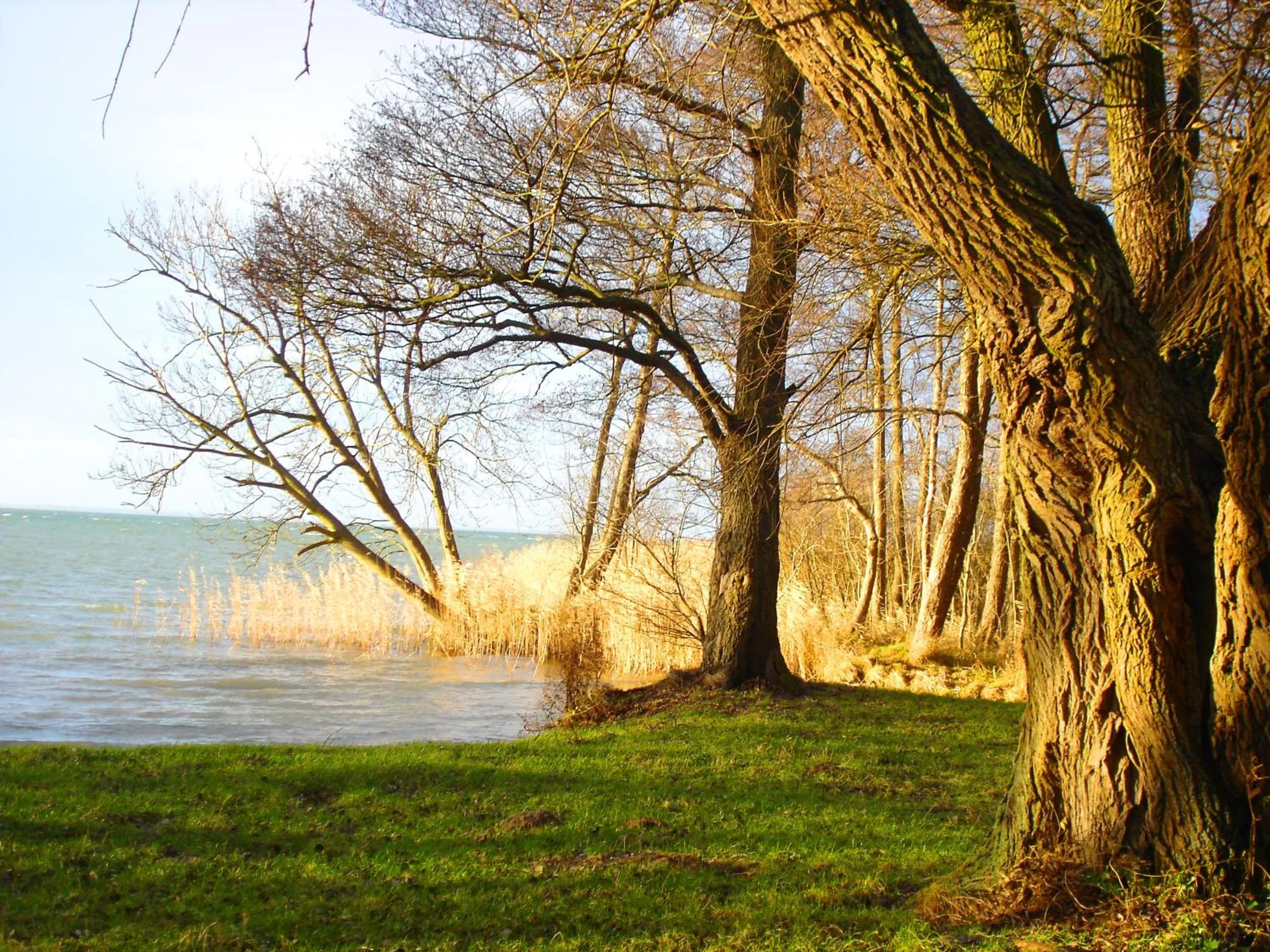 Beach in Residenz am Ostufer