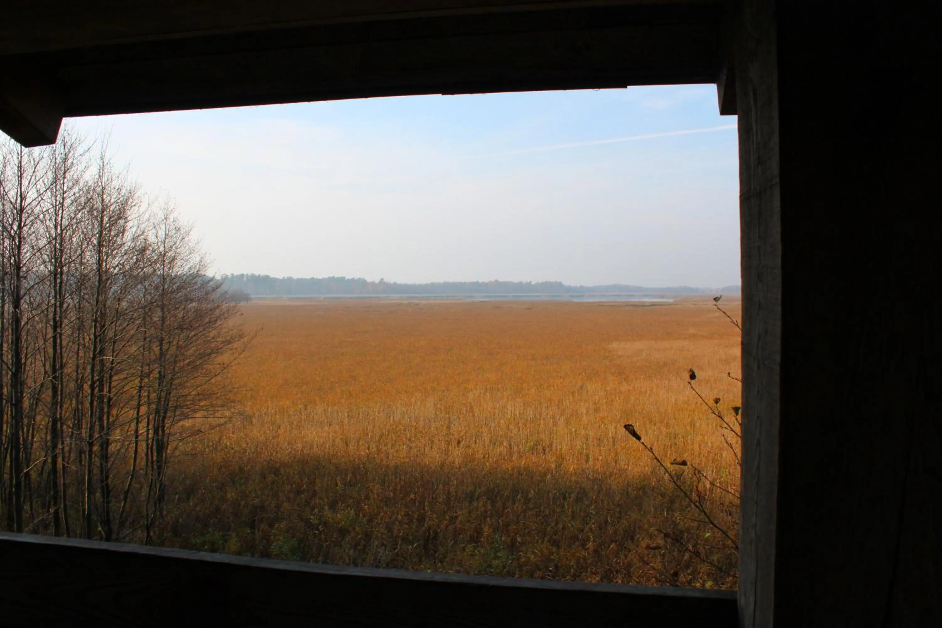 Hiking in Residenz am Ostufer