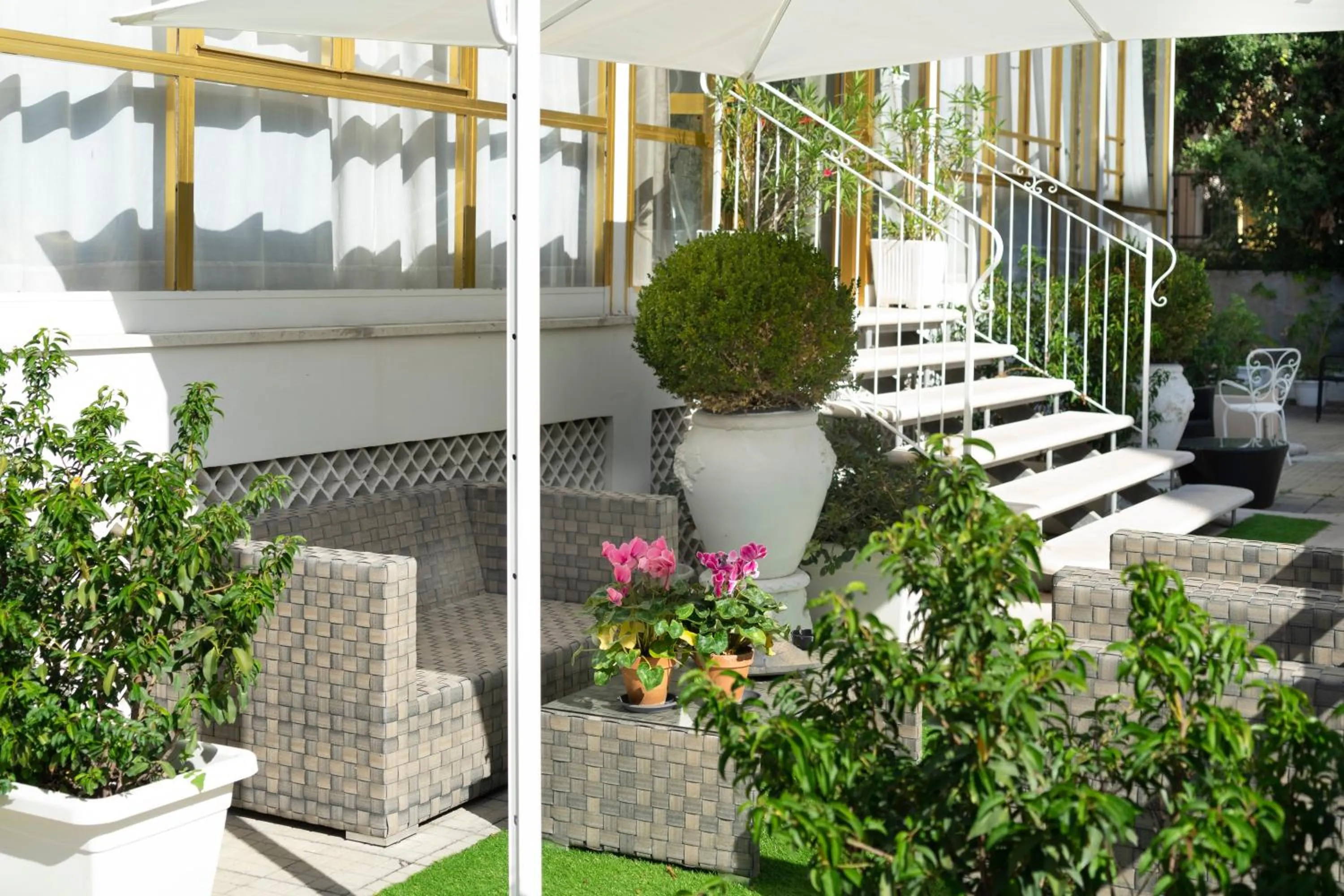 Garden in Hotel Italia Boutique