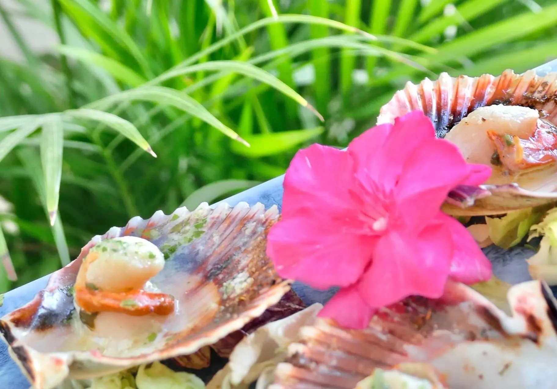Food close-up in Hotel Na Forana