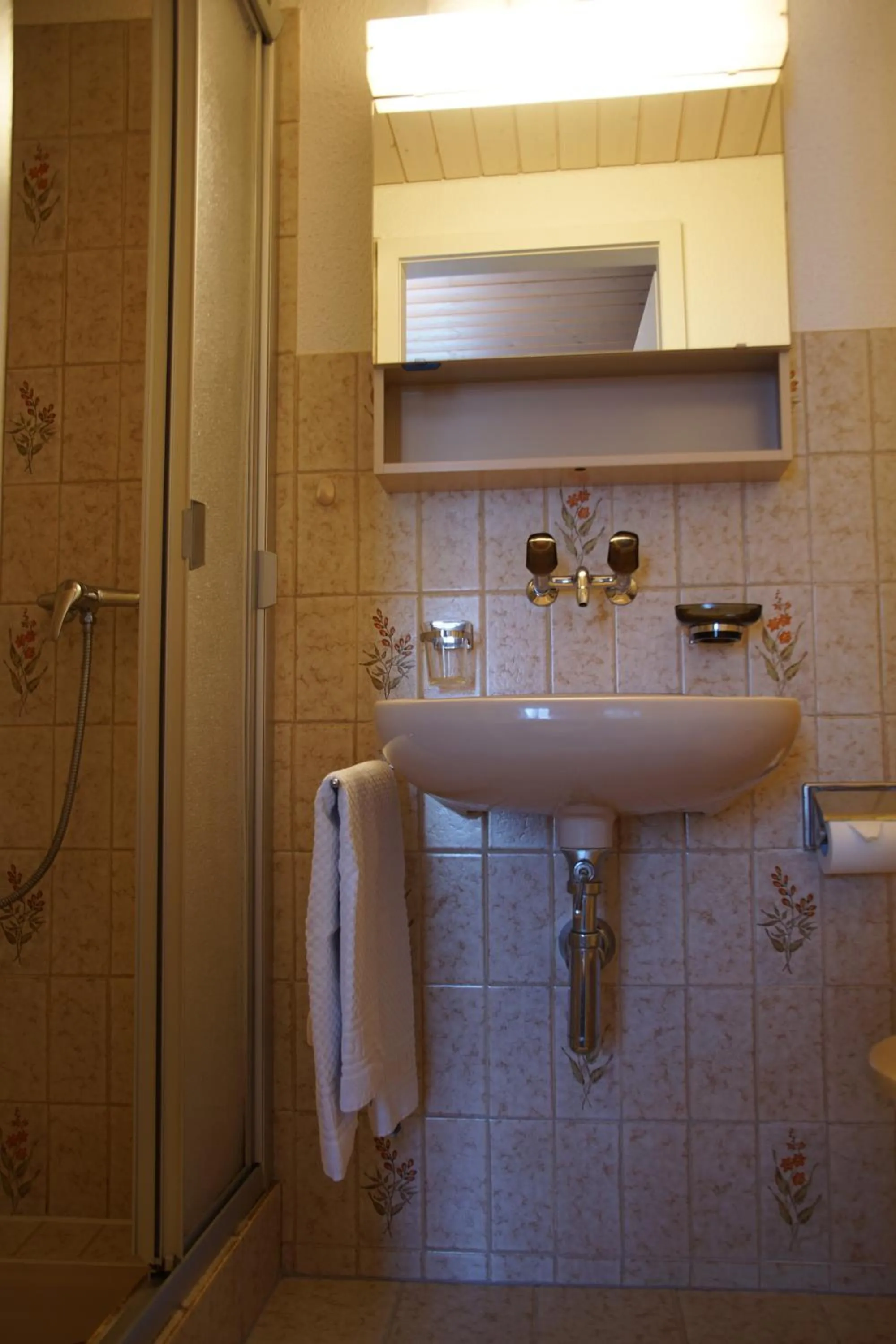 Hotel Gotthard