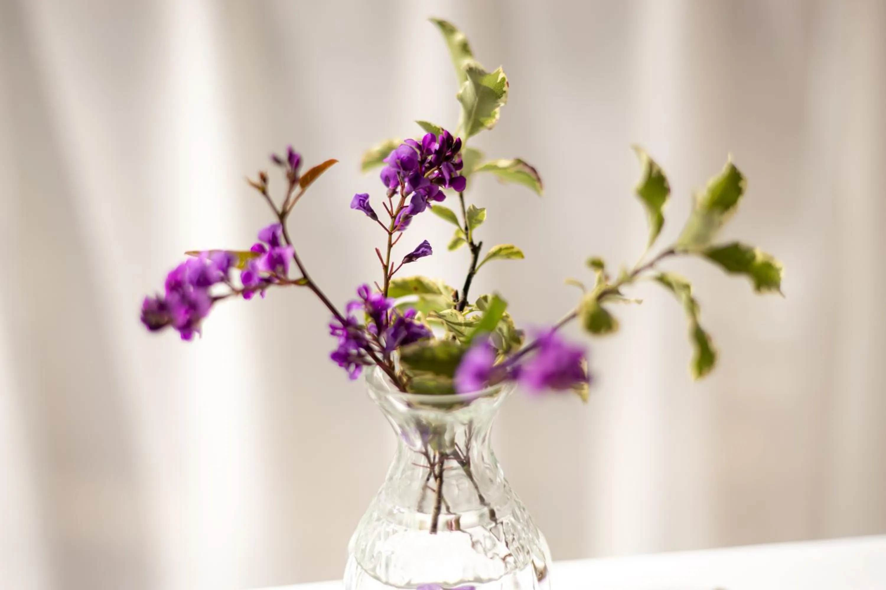 Other in Hotel Sao Jose