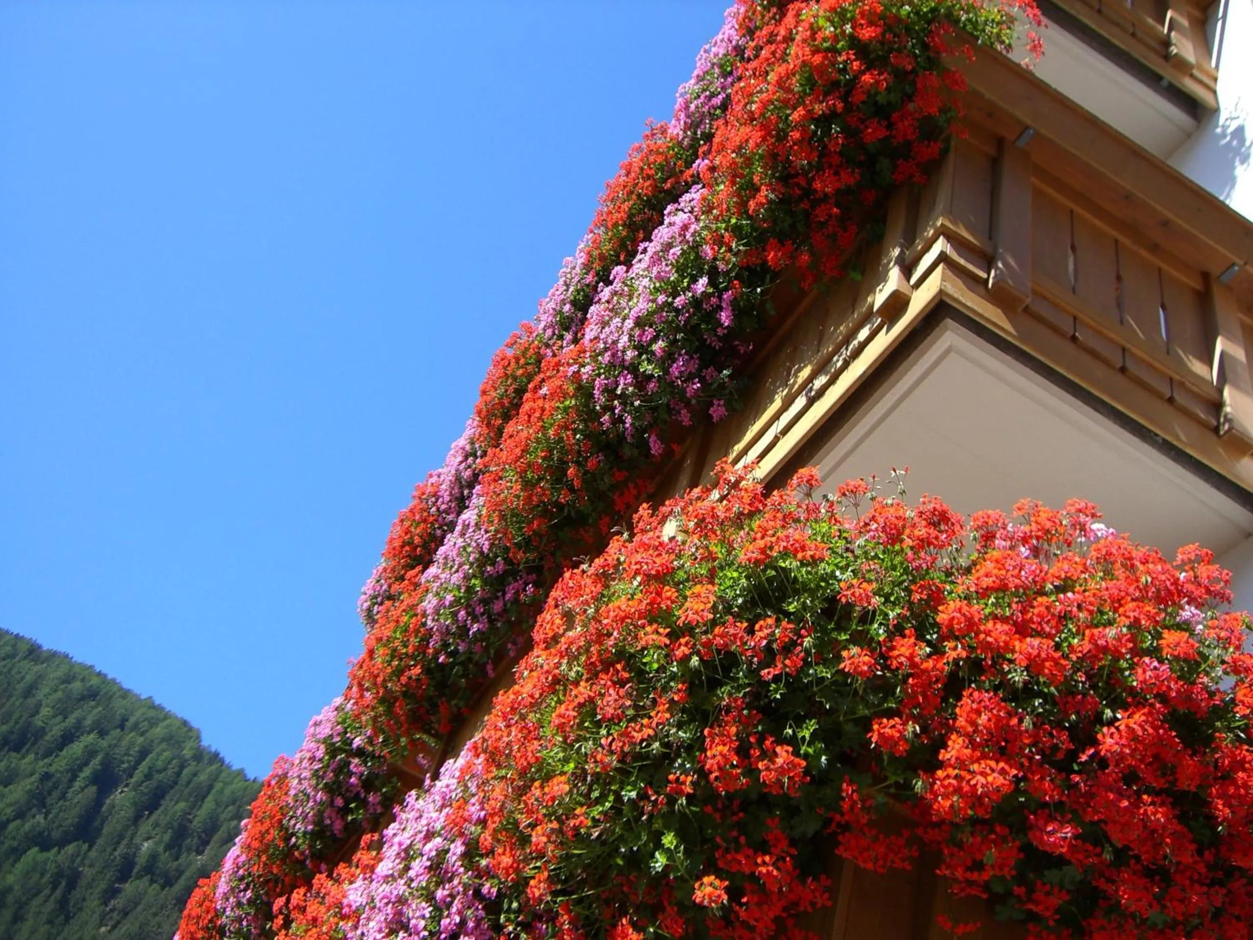 Decorative detail in B&B Hotel Alpenrose Rooms & Apartments