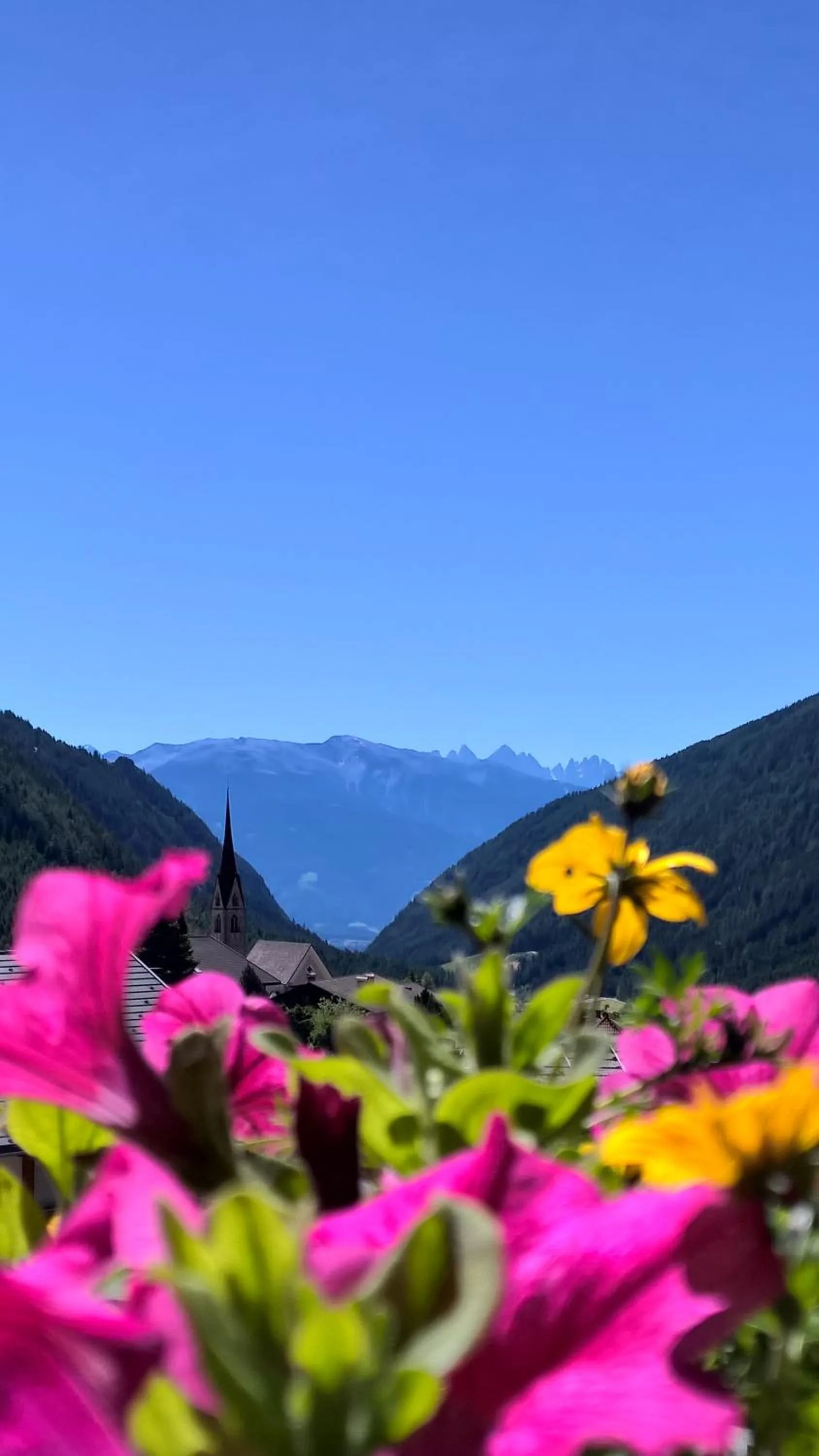 B&B Hotel Alpenrose Rooms & Apartments