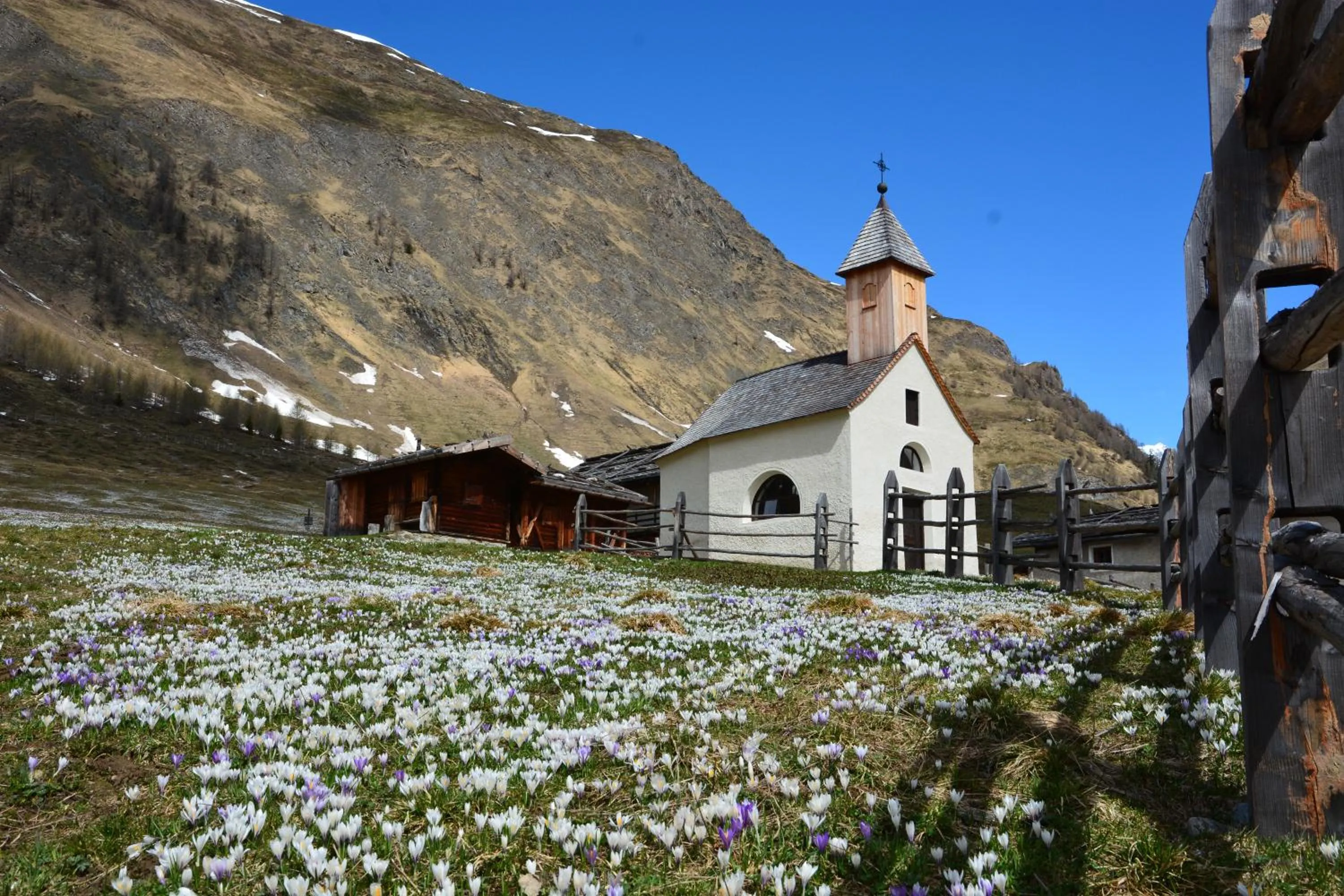 Natural landscape in B&B Hotel Alpenrose Rooms & Apartments