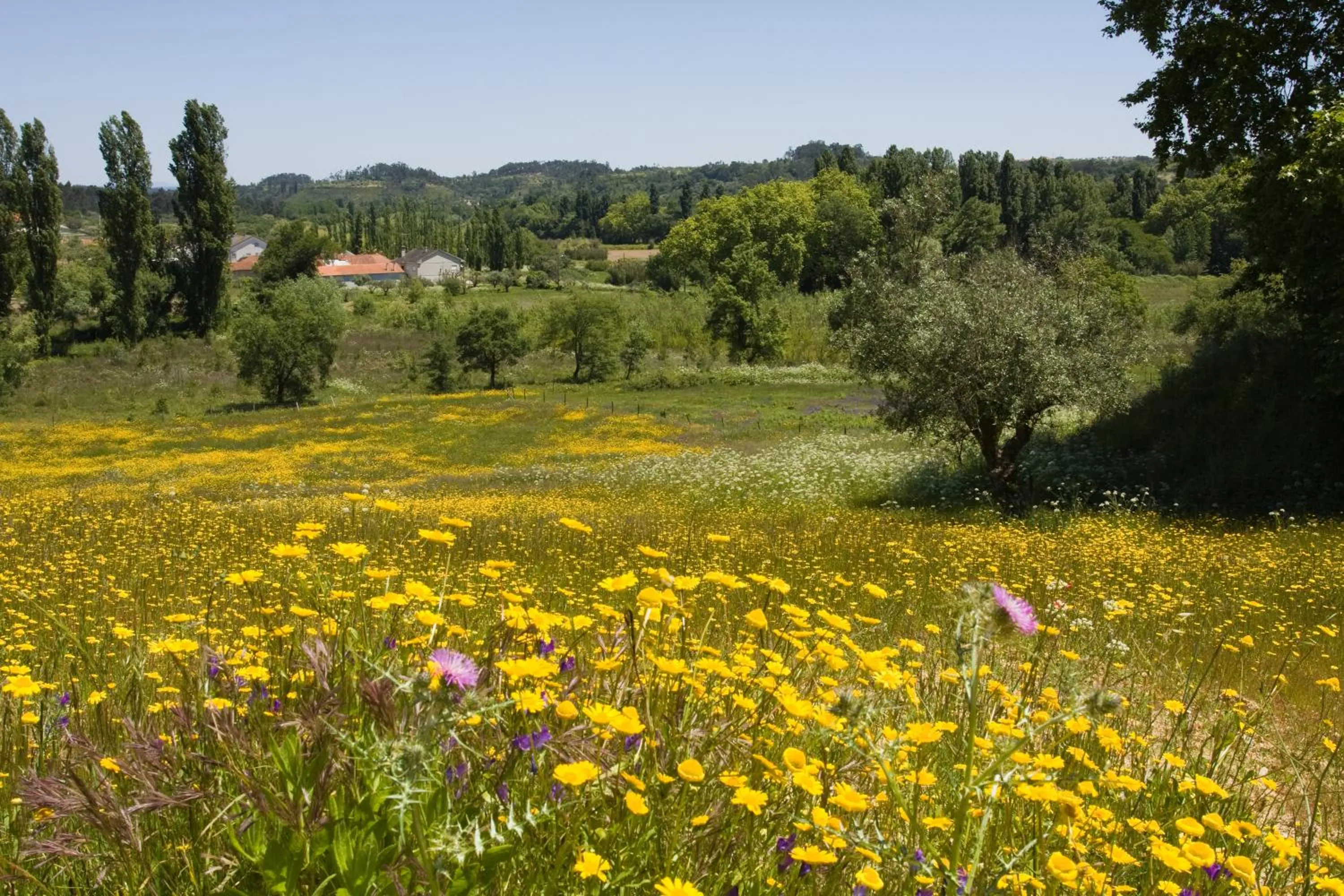 Hiking in Quinta da Alcaidaria Mor