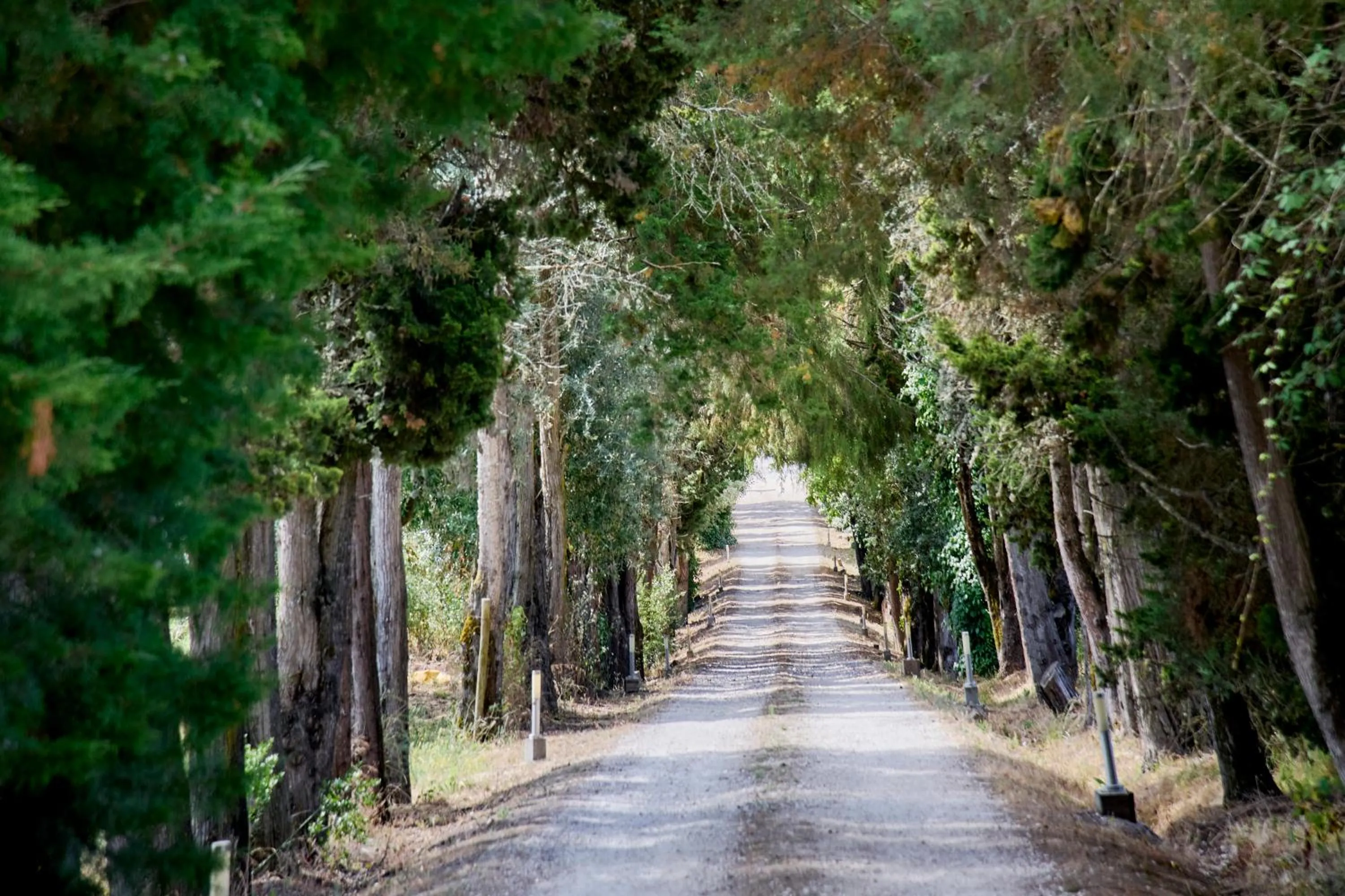 Natural landscape in Quinta da Alcaidaria Mor