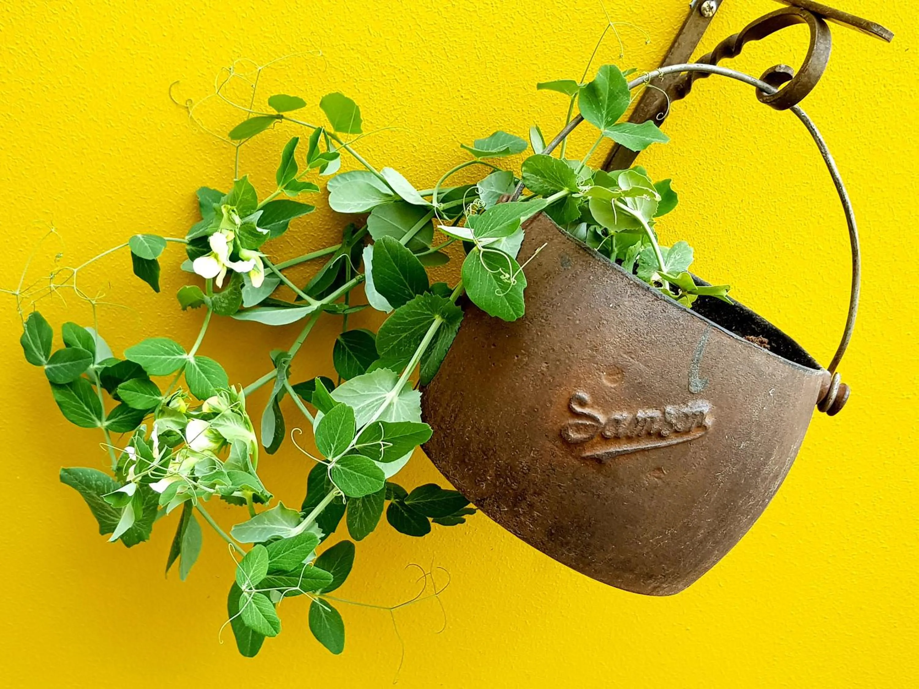 Decorative detail in Old Town Quito Suites, Heritage Boutique Hotel, Where Every Detail Tells a Story