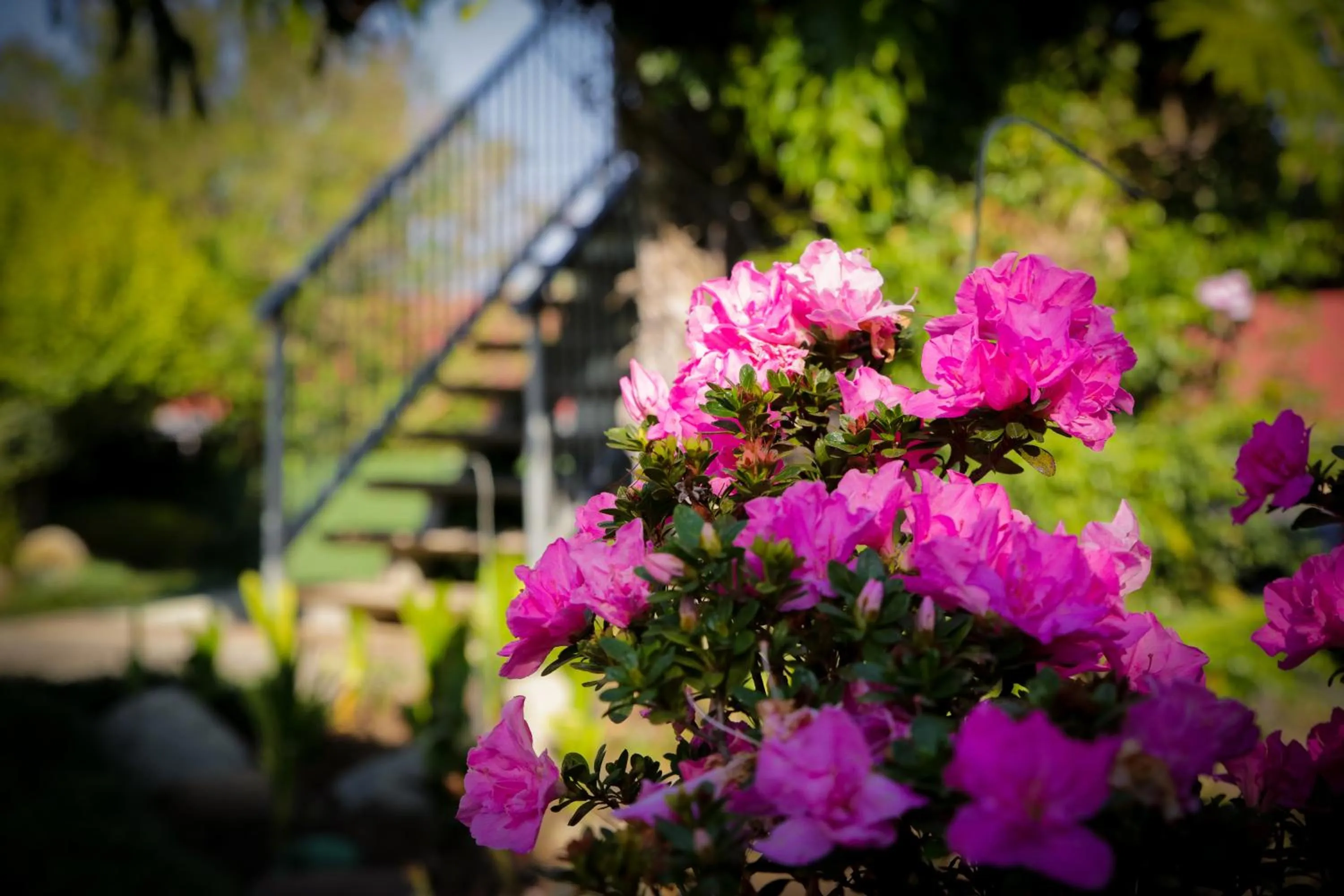 Garden in Twins Guesthouse NO LOAD SHEDDING