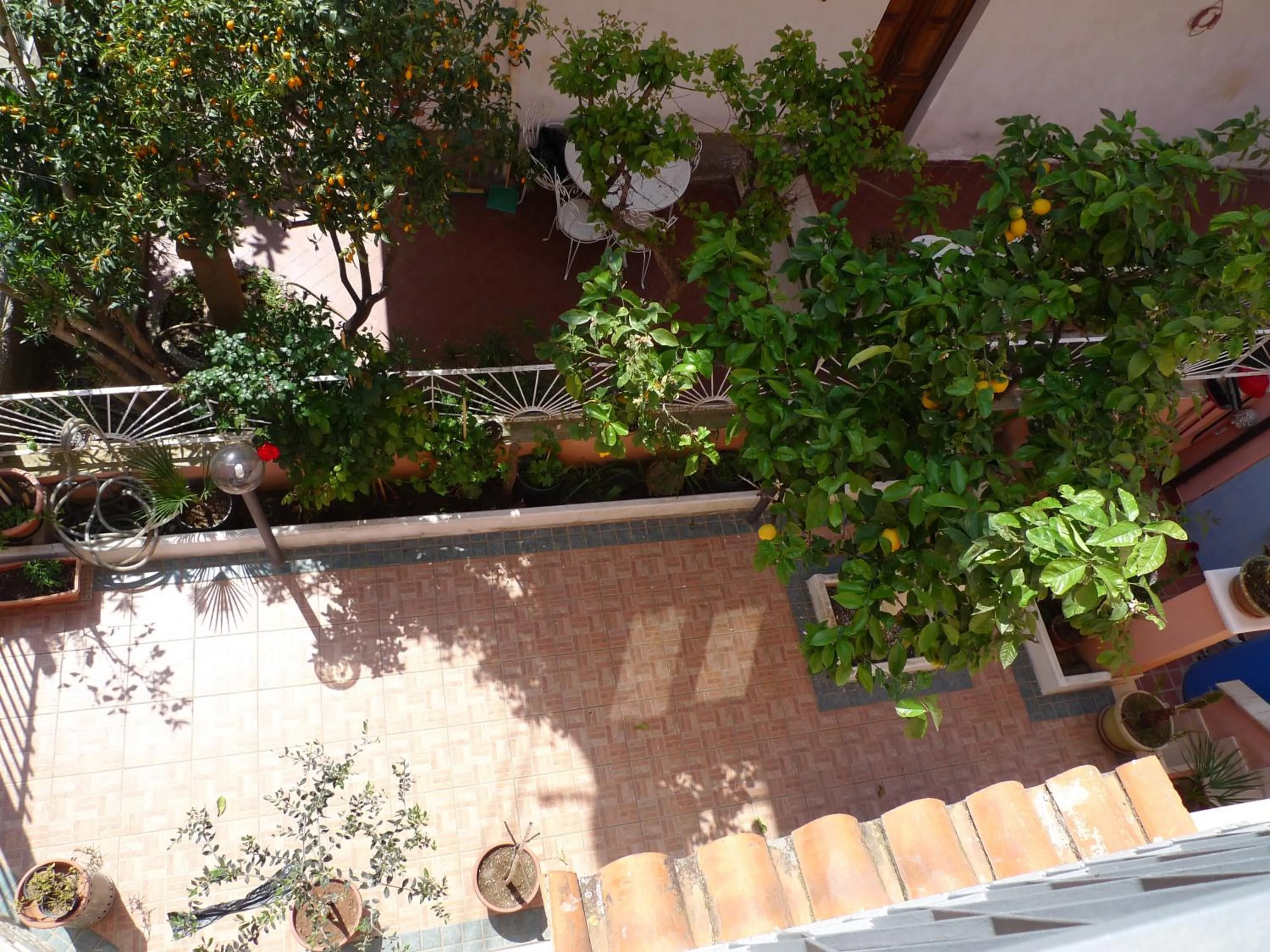 Garden view in B&B Il Nido