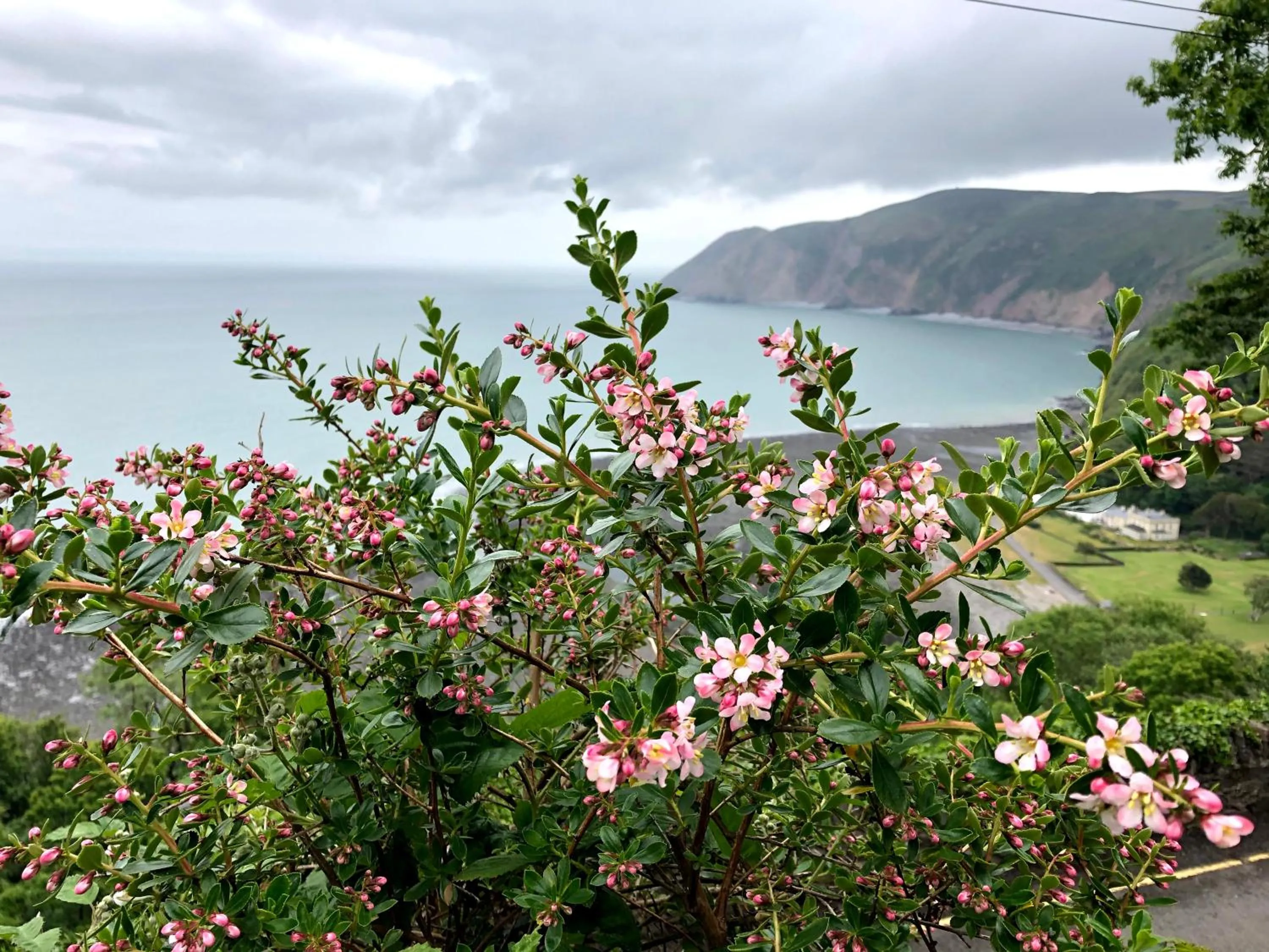 View (from property/room) in The North Cliff Hotel