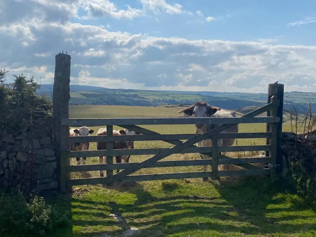 Neighbourhood in The North Cliff Hotel