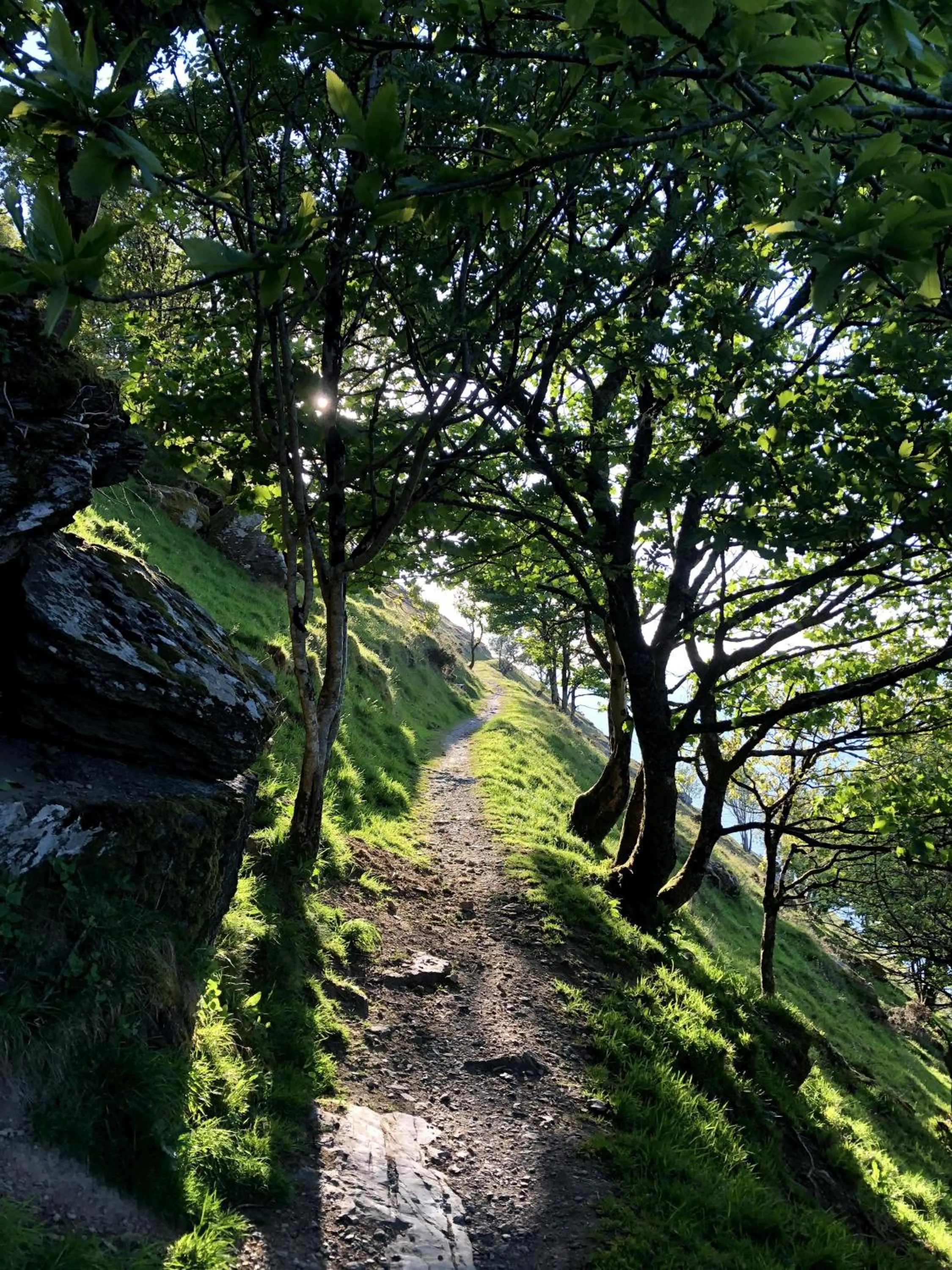 Natural landscape in The North Cliff Hotel