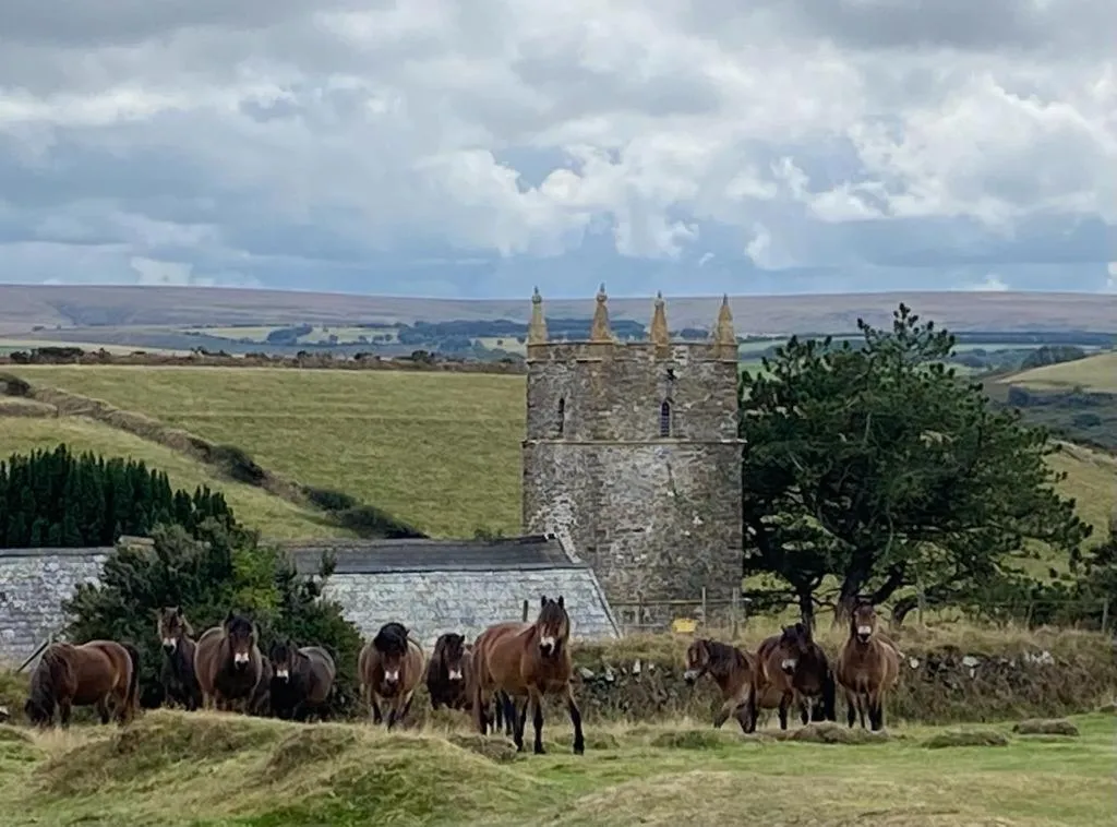 Neighbourhood in The North Cliff Hotel