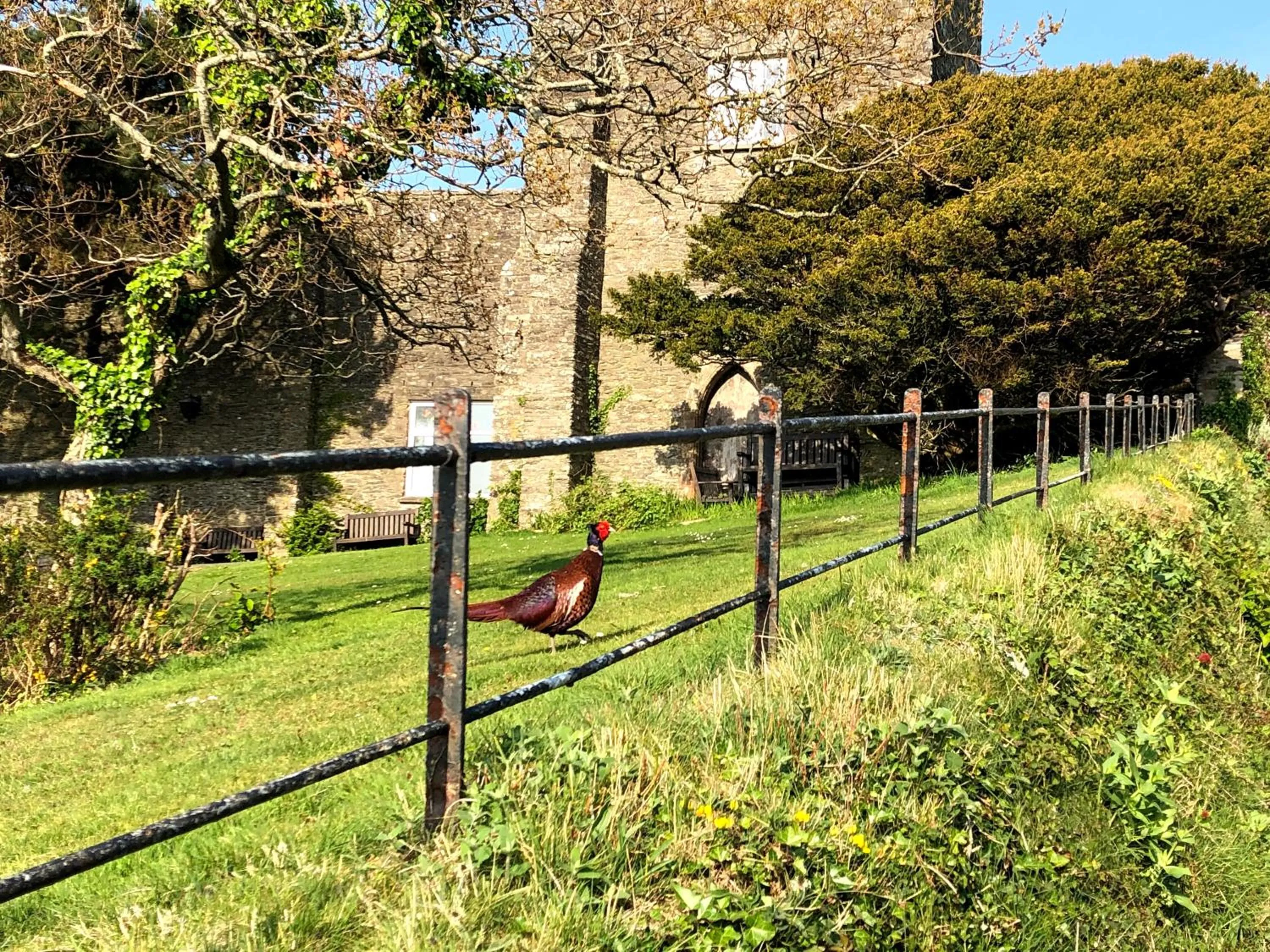 Natural landscape in The North Cliff Hotel