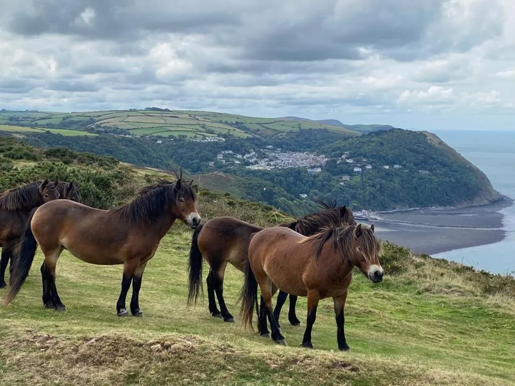 Neighbourhood in The North Cliff Hotel
