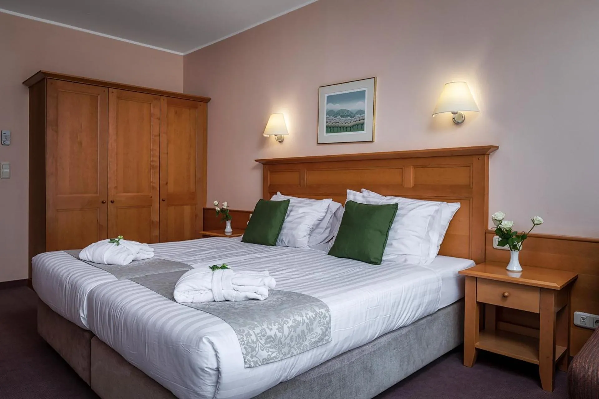 Double Room - single occupancy in Grand Hotel BELLEVUE