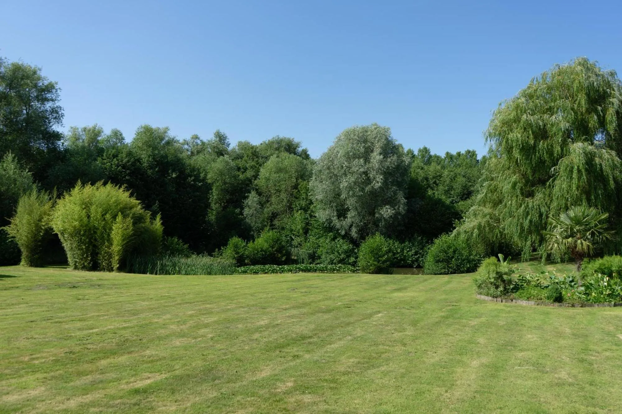 Garden in Au Petit Canteleu - Bed & Breakfast