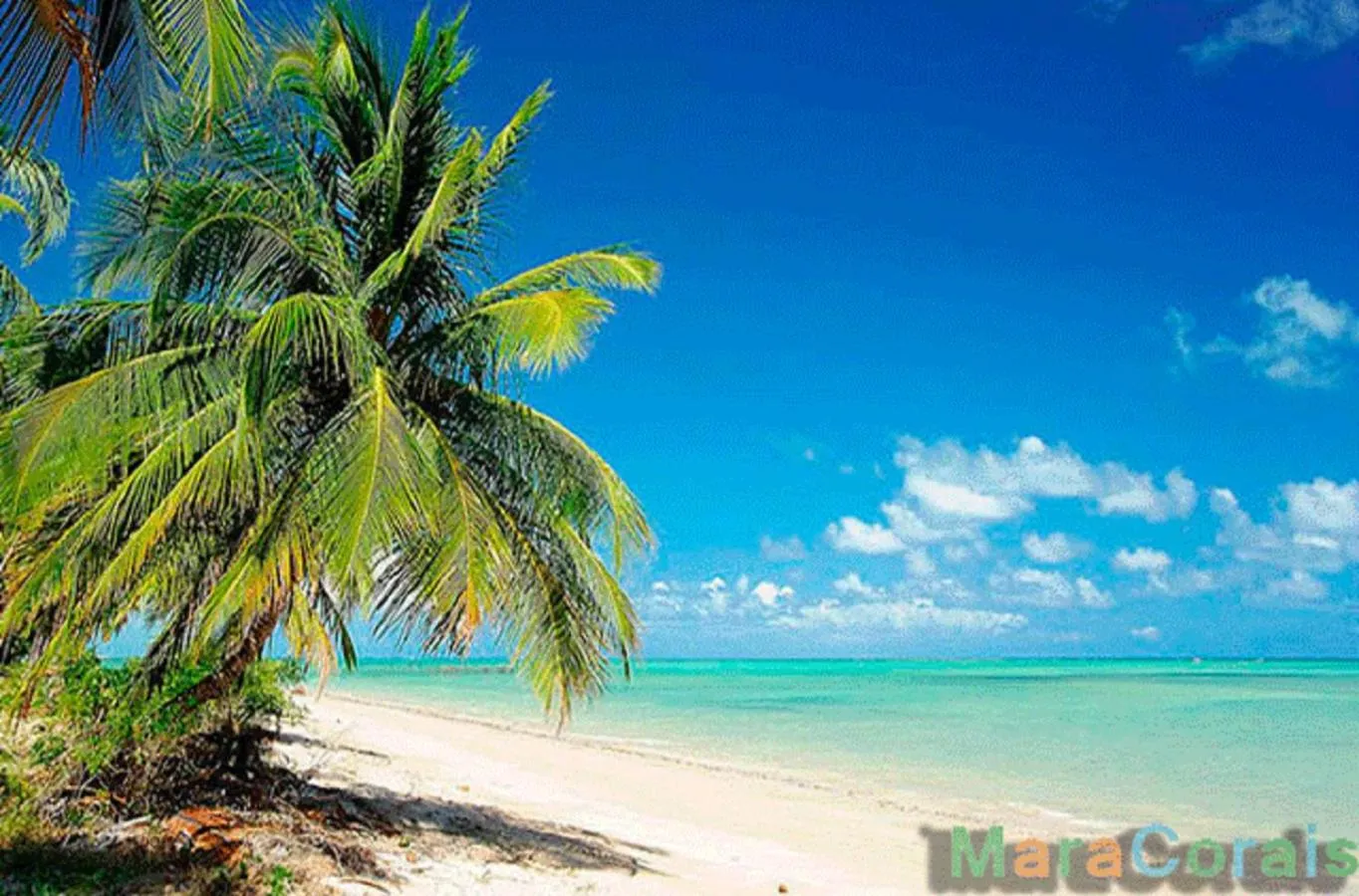 Natural landscape in Pousada Canto dos Corais