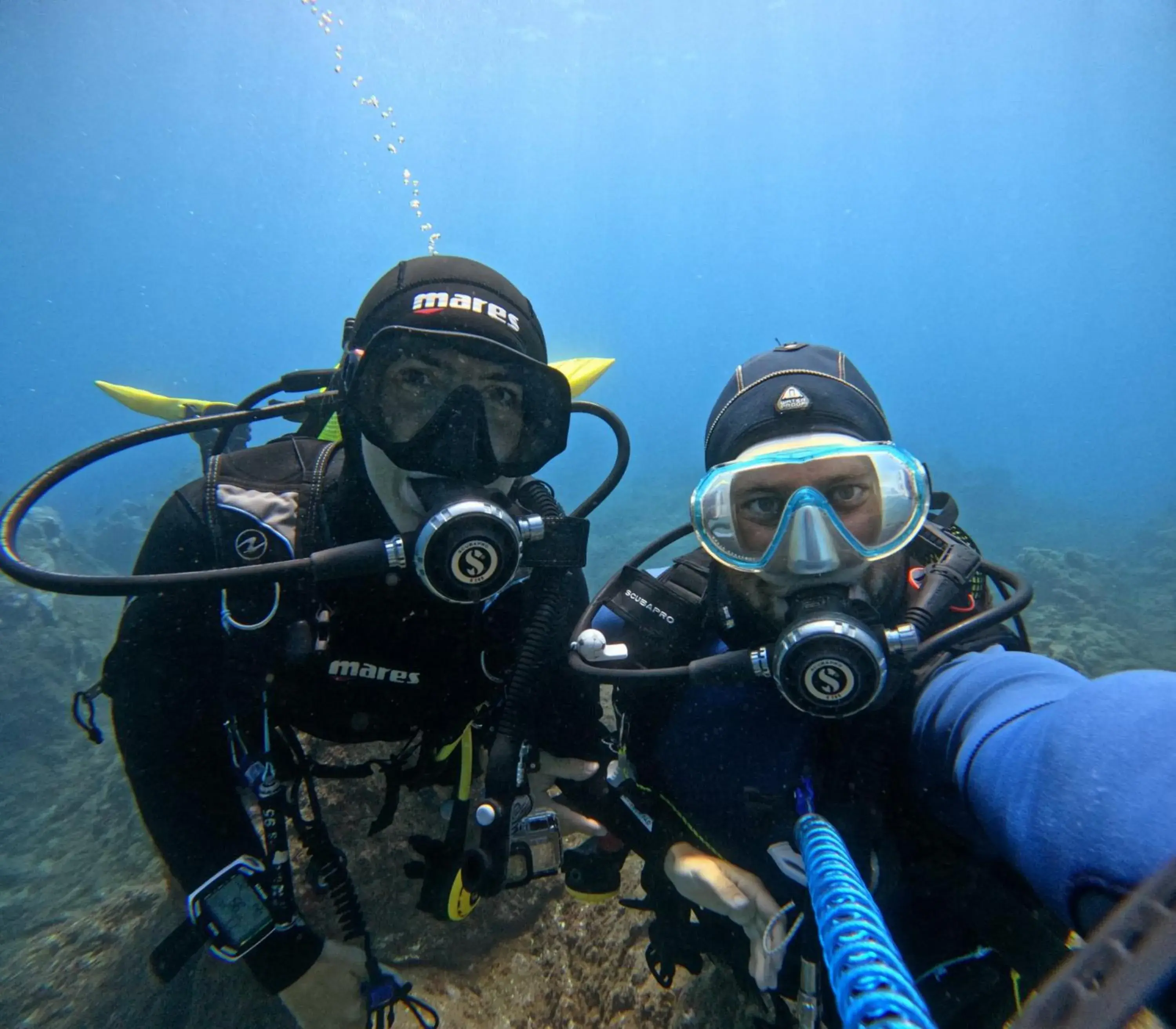 Diving in Hotel Royal Orchid Diving in Hotel Royal Orchid